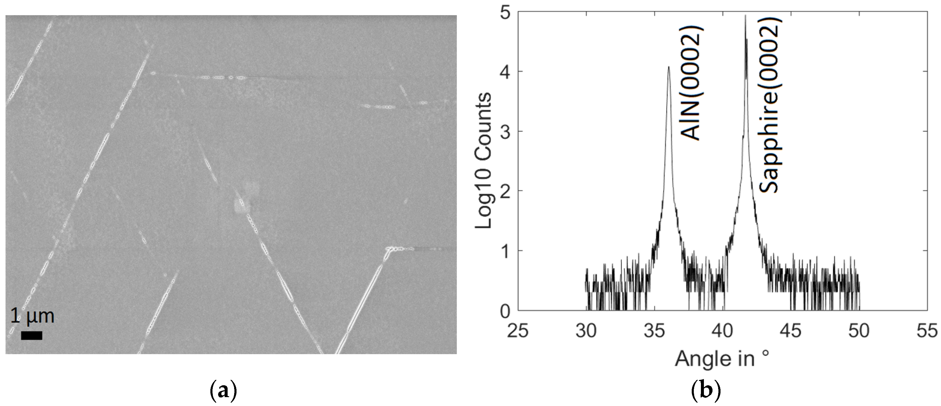 Coatings 07 00136 g002