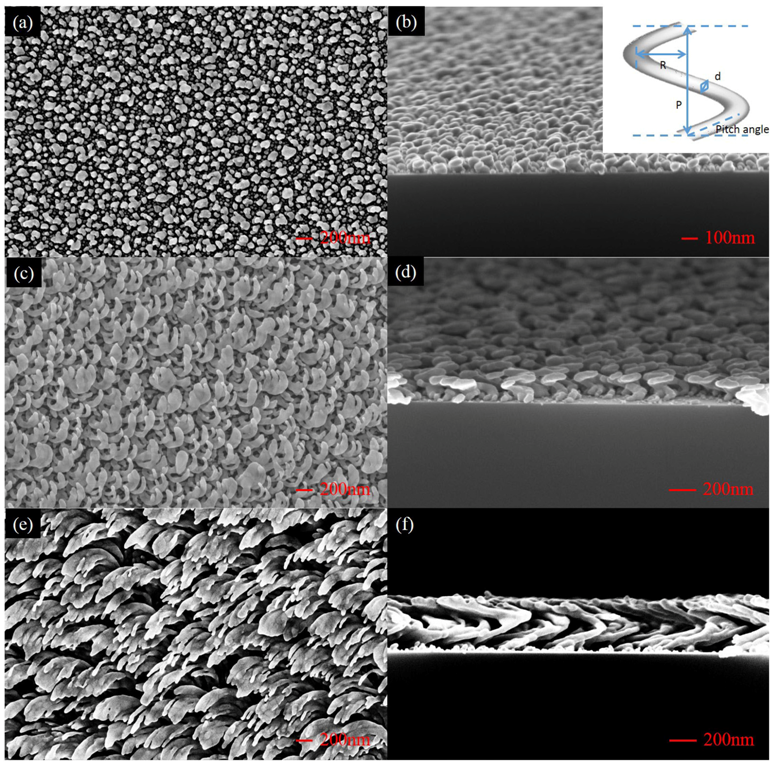Coatings 07 00140 g001