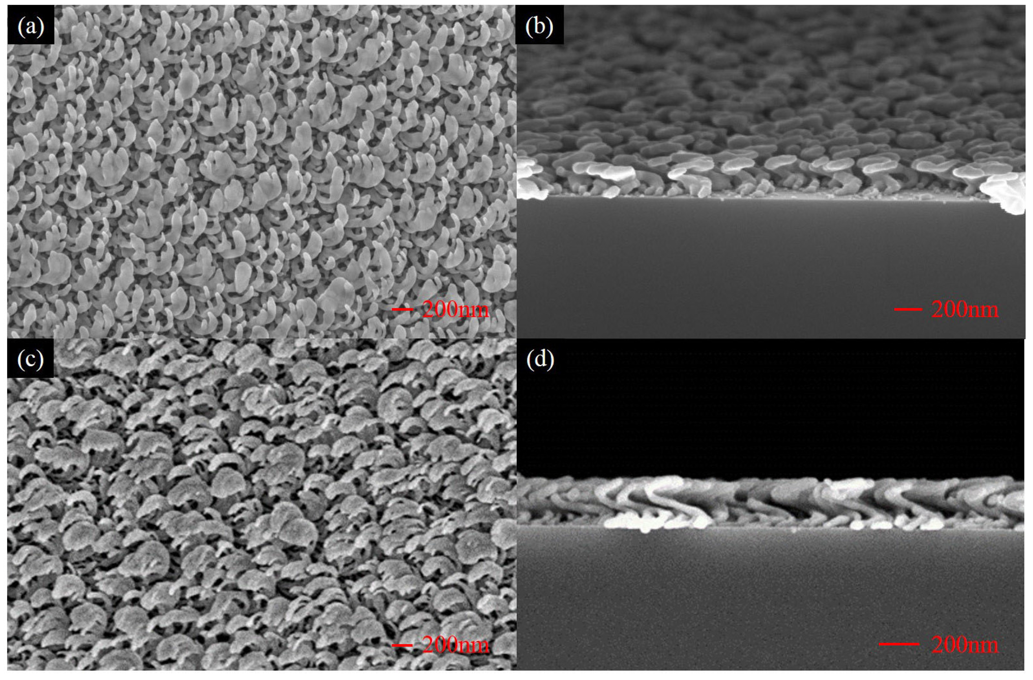 Coatings 07 00140 g004