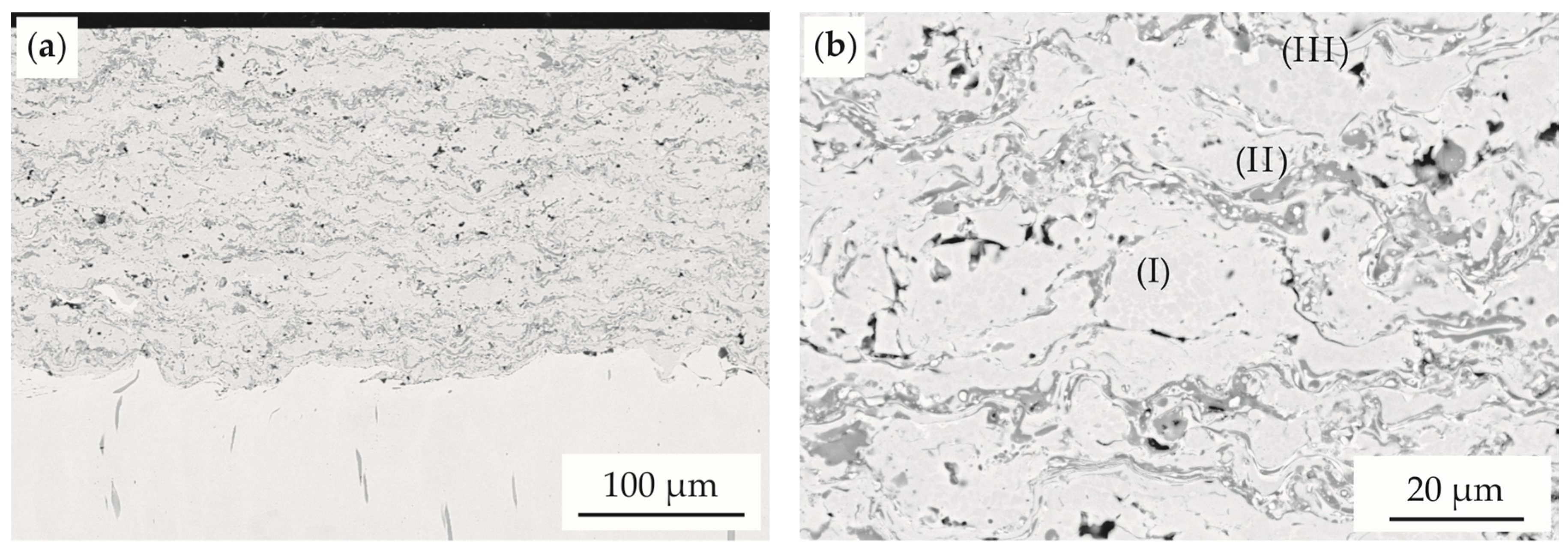 Coatings 07 00144 g003