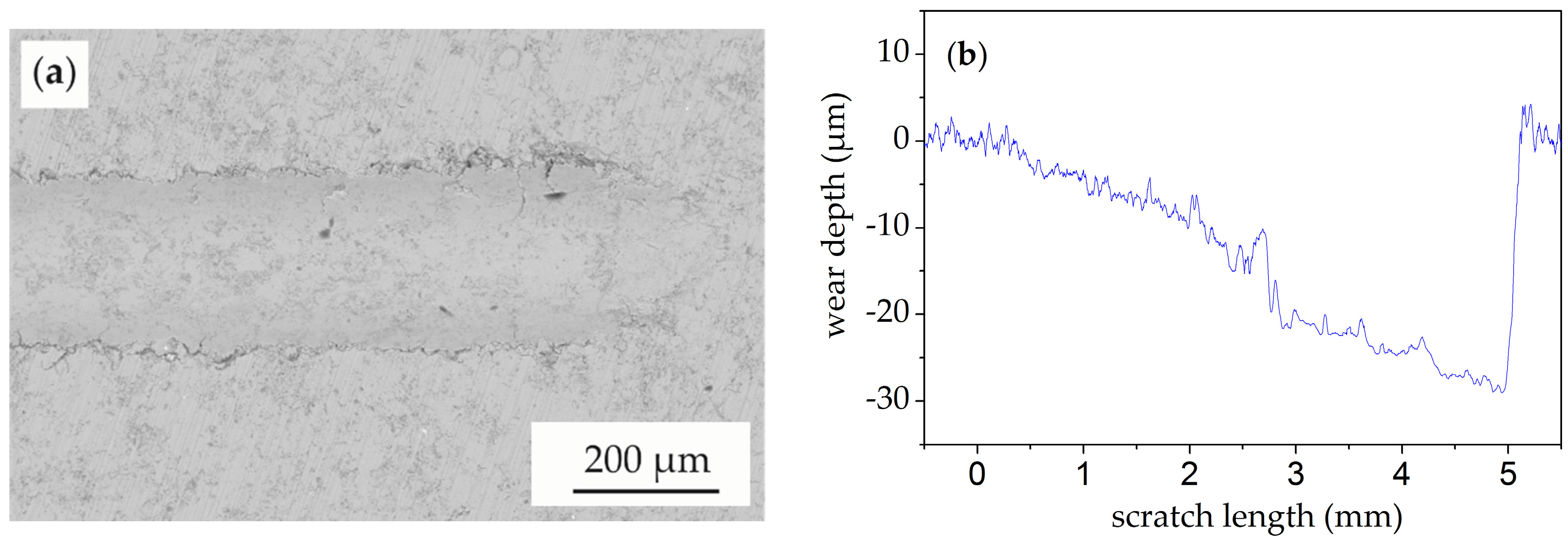 Coatings 07 00144 g006