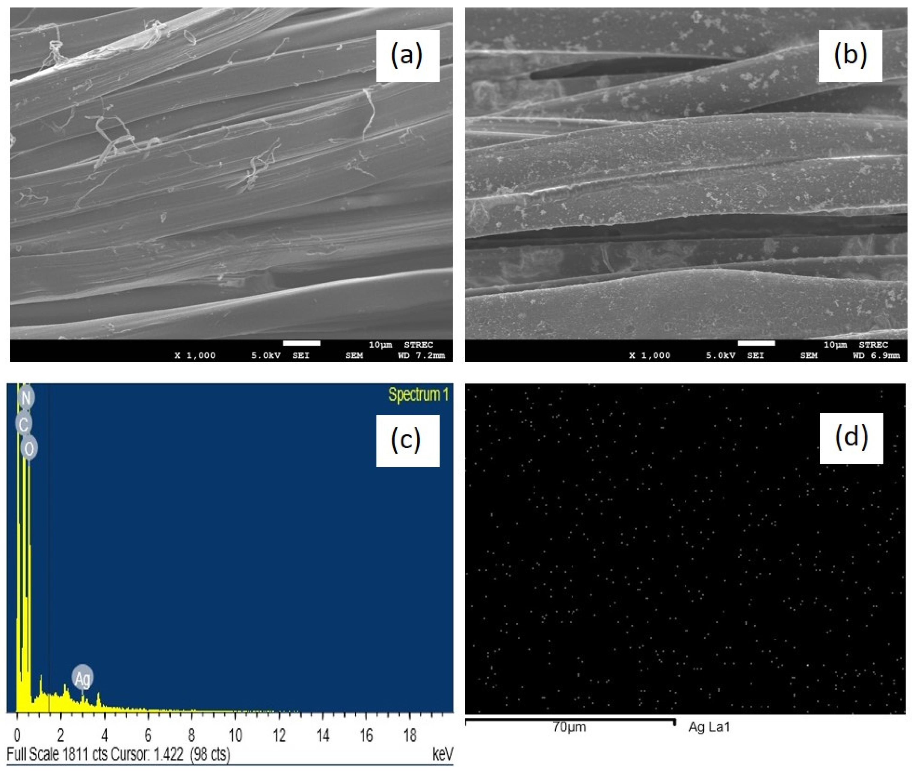 Coatings 07 00145 g005