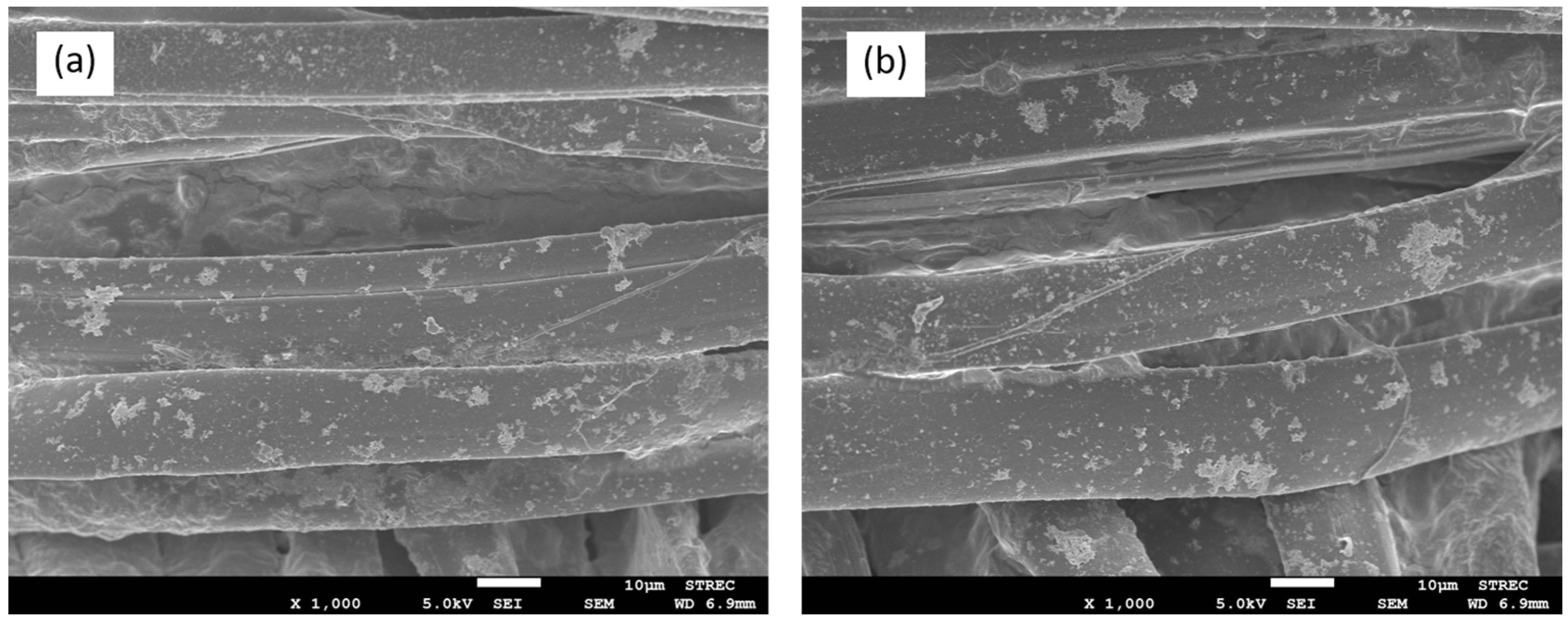 Coatings 07 00145 g009