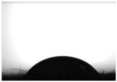 Coatings 07 00145 i005