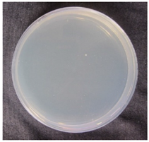 Coatings 07 00145 i011