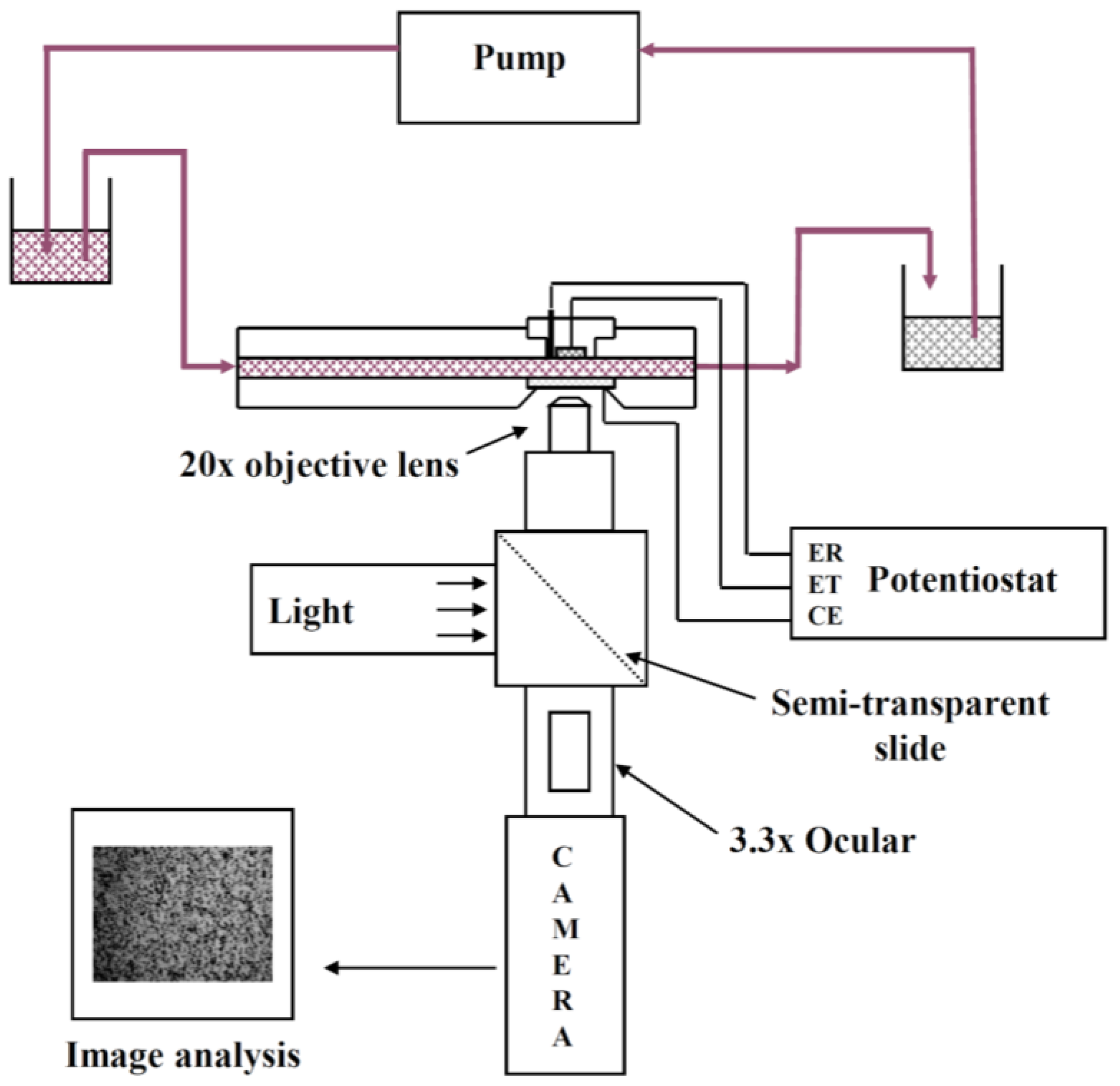Coatings 07 00147 g001