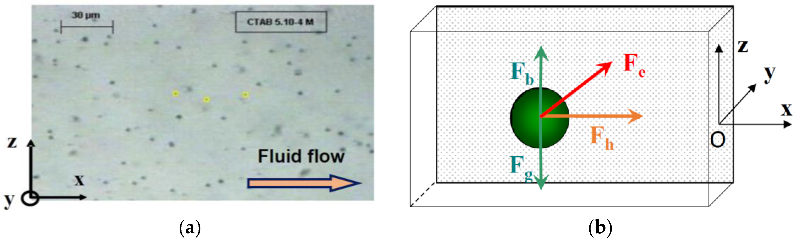 Coatings 07 00147 g002