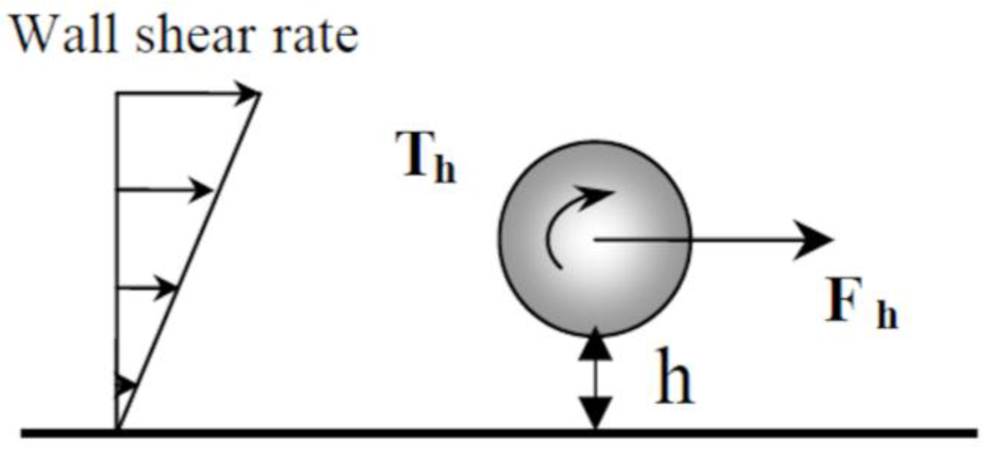 Coatings 07 00147 g003