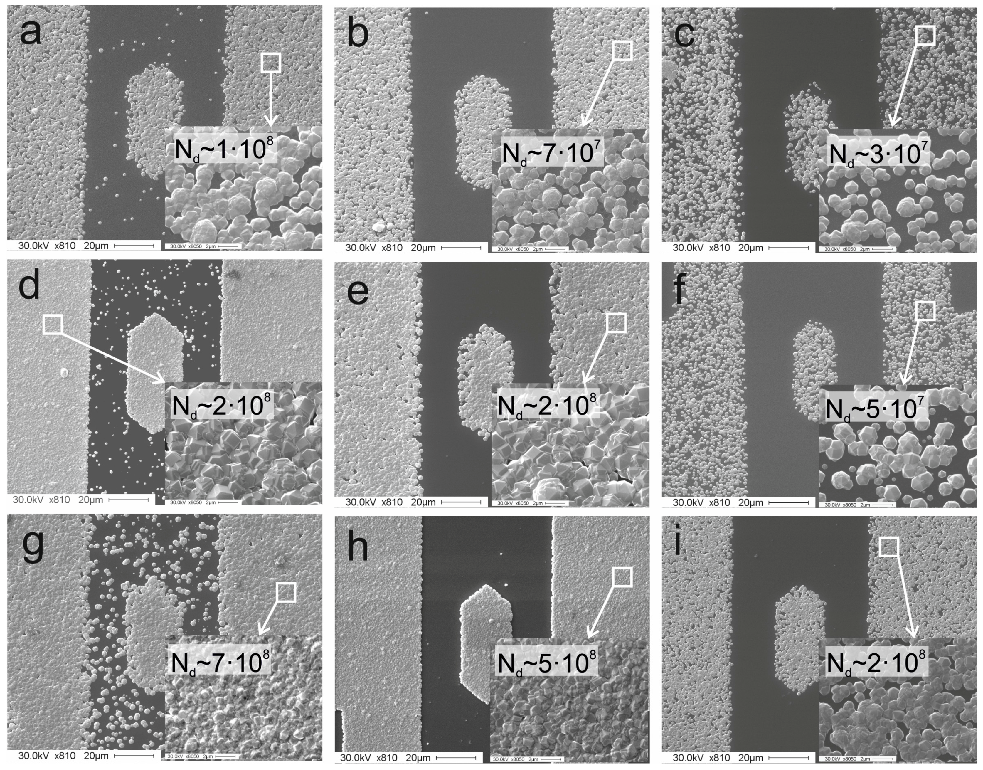 Coatings 07 00148 g003