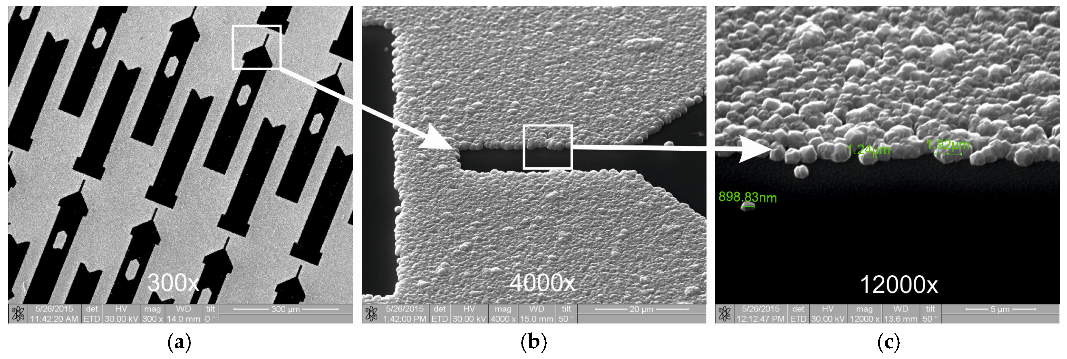 Coatings 07 00148 g006