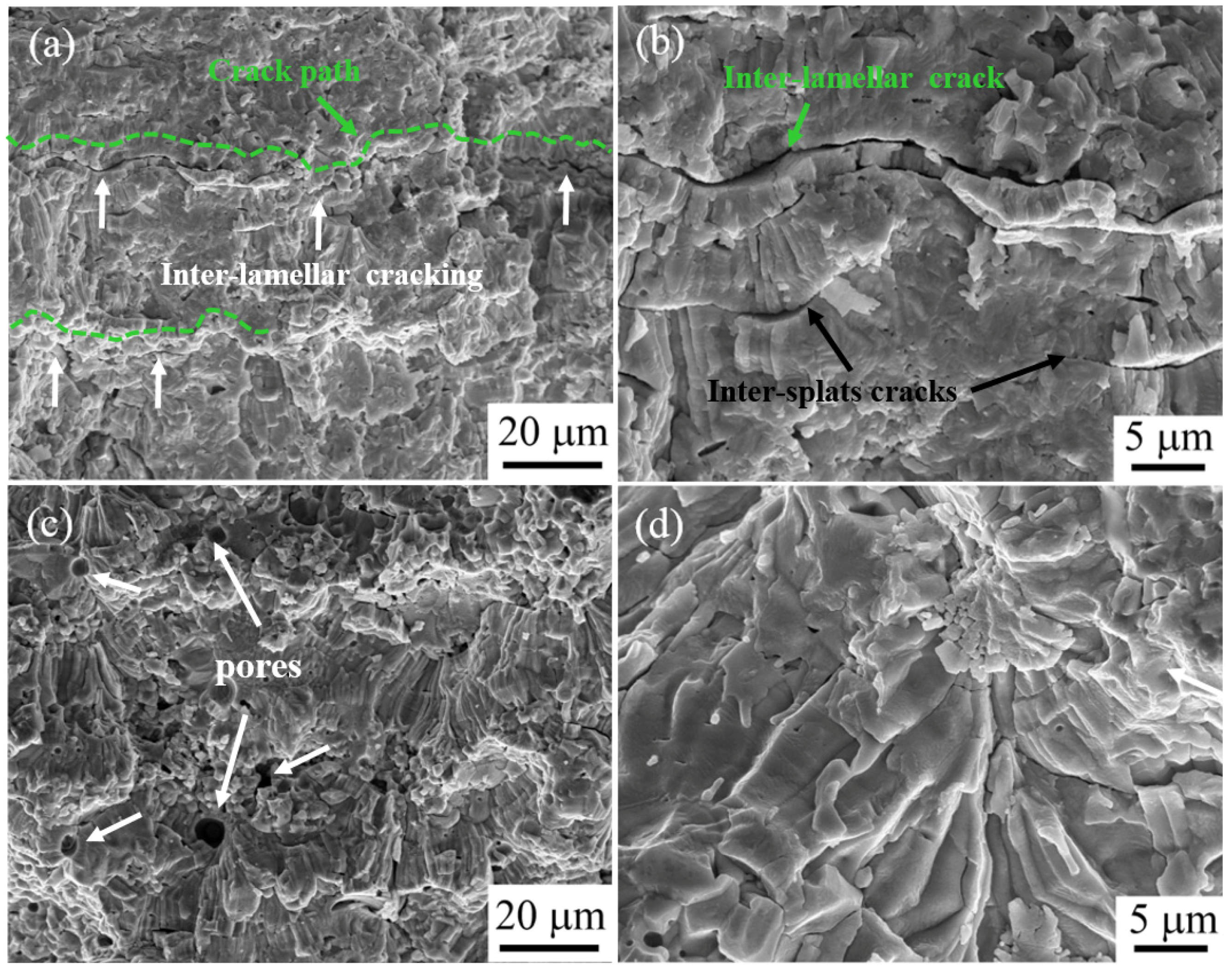 Coatings 07 00150 g006