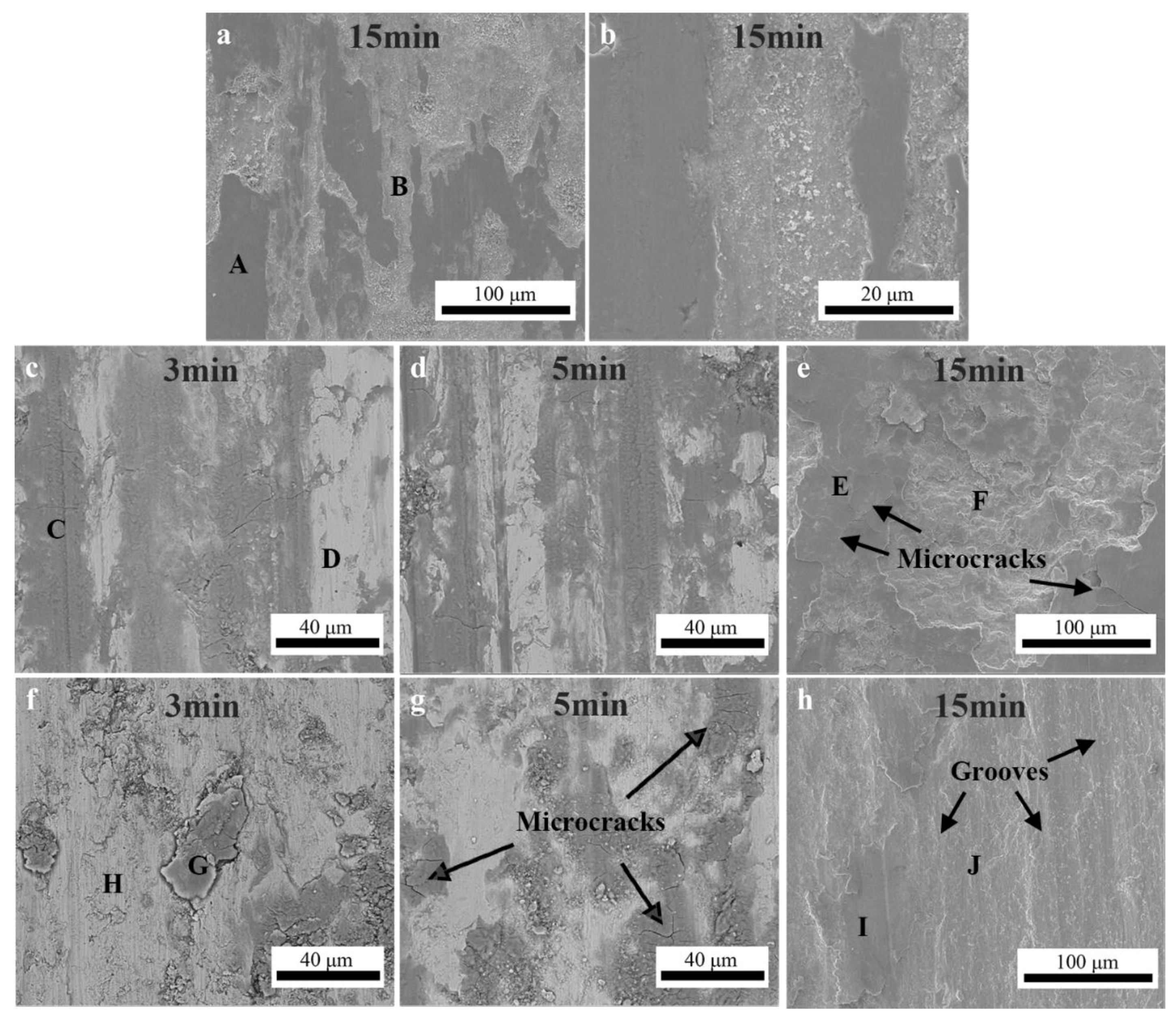 Coatings 07 00151 g010