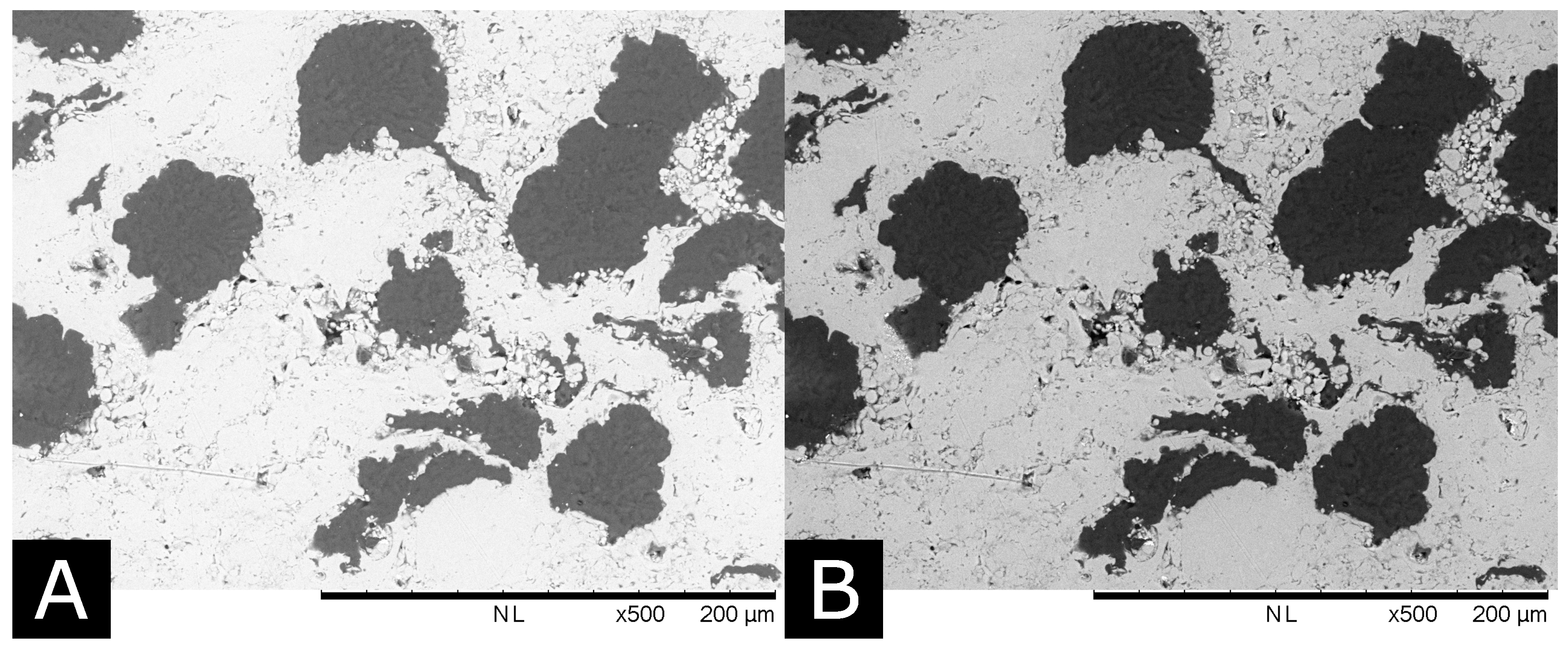 Coatings 07 00166 g001