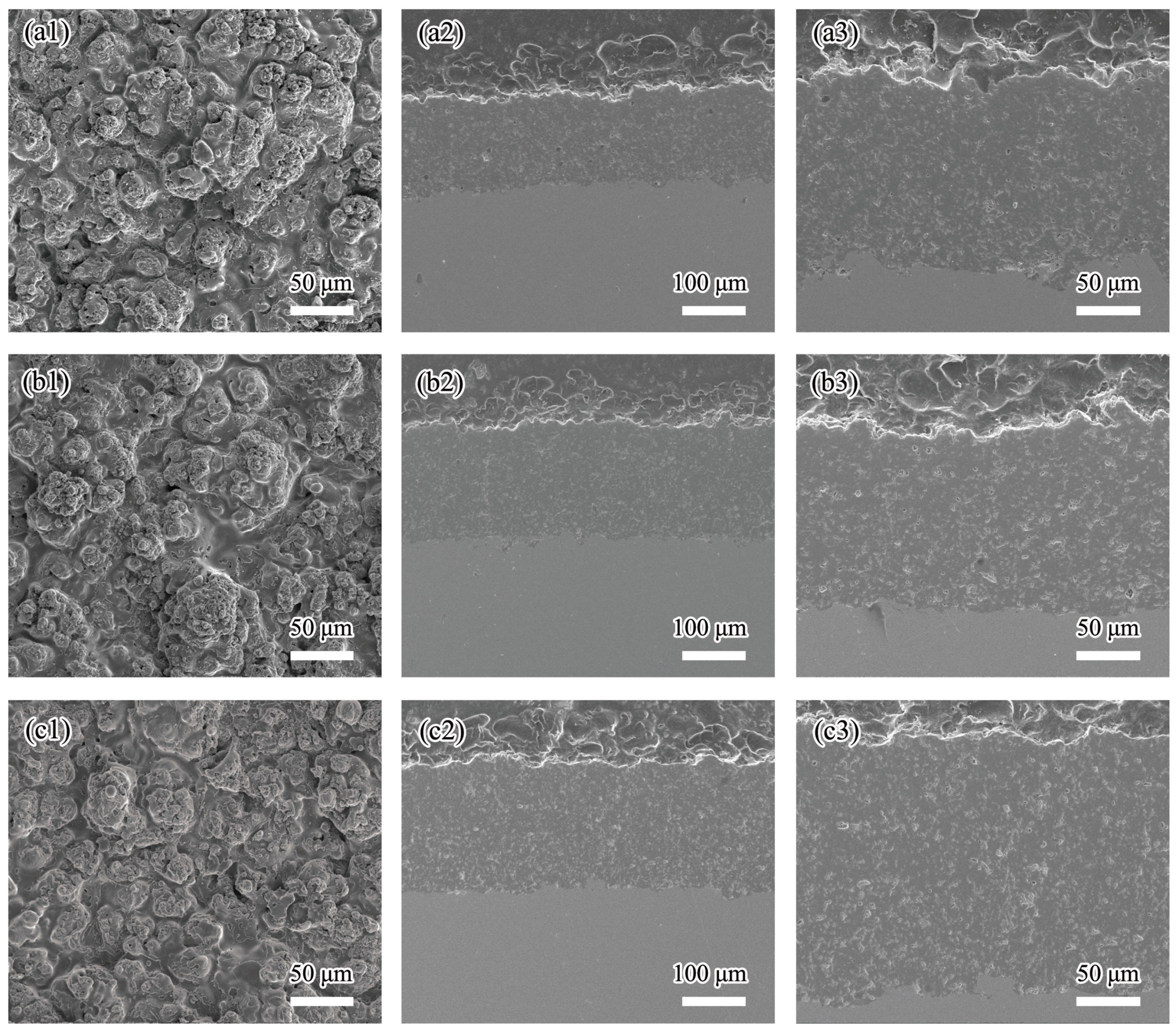 Coatings 07 00169 g003 Coatings 07 00169 g003