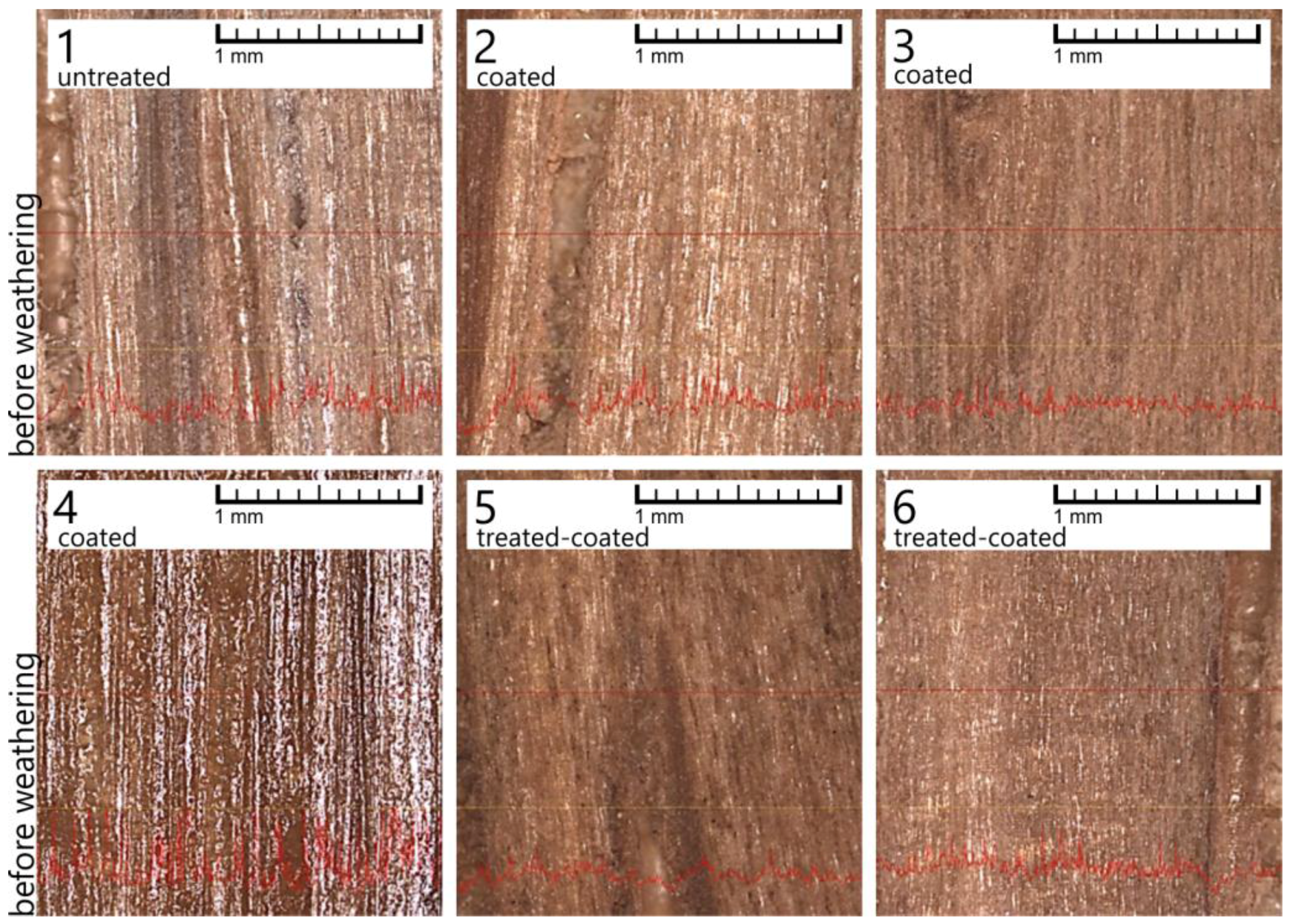 Coatings 07 00172 g003
