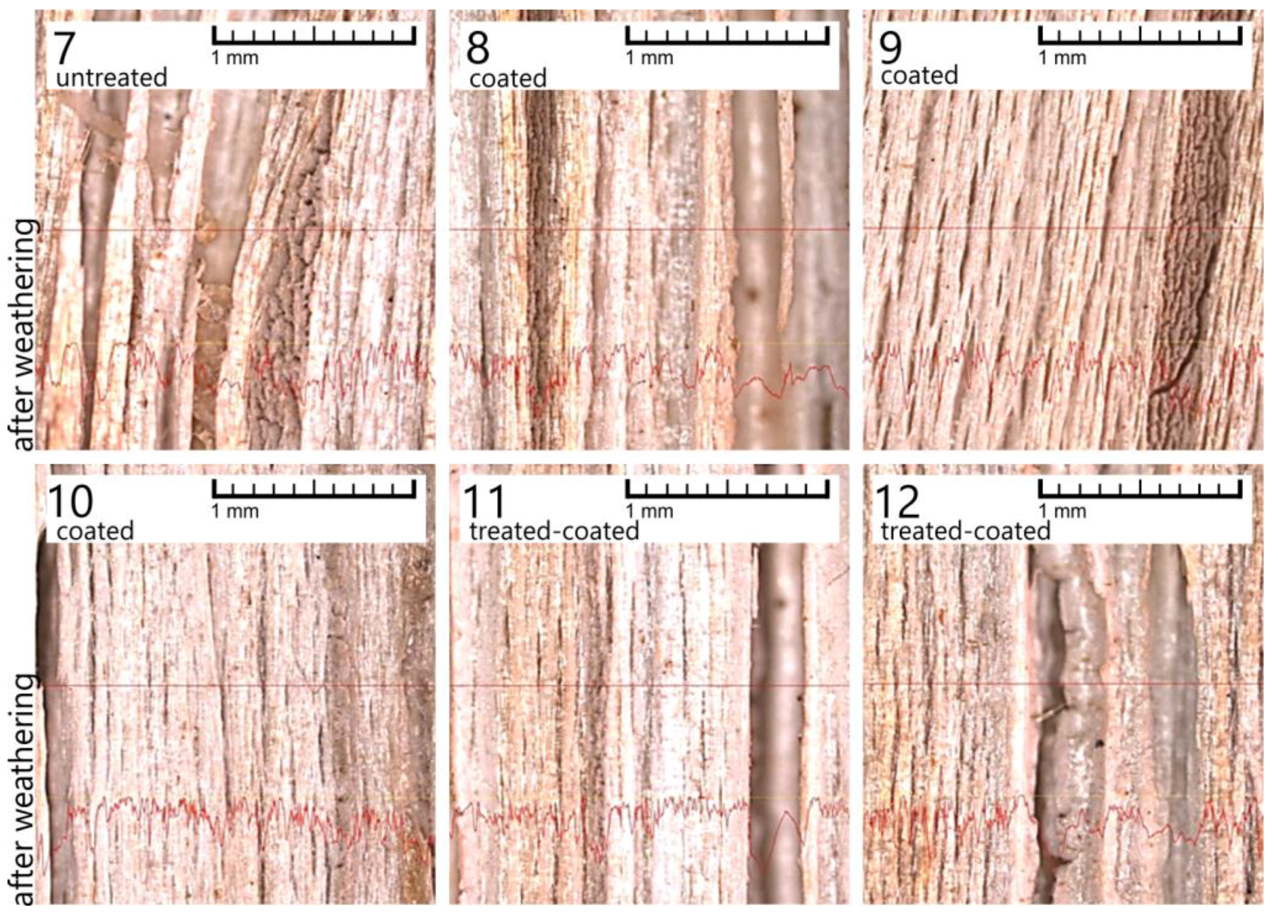 Coatings 07 00172 g004