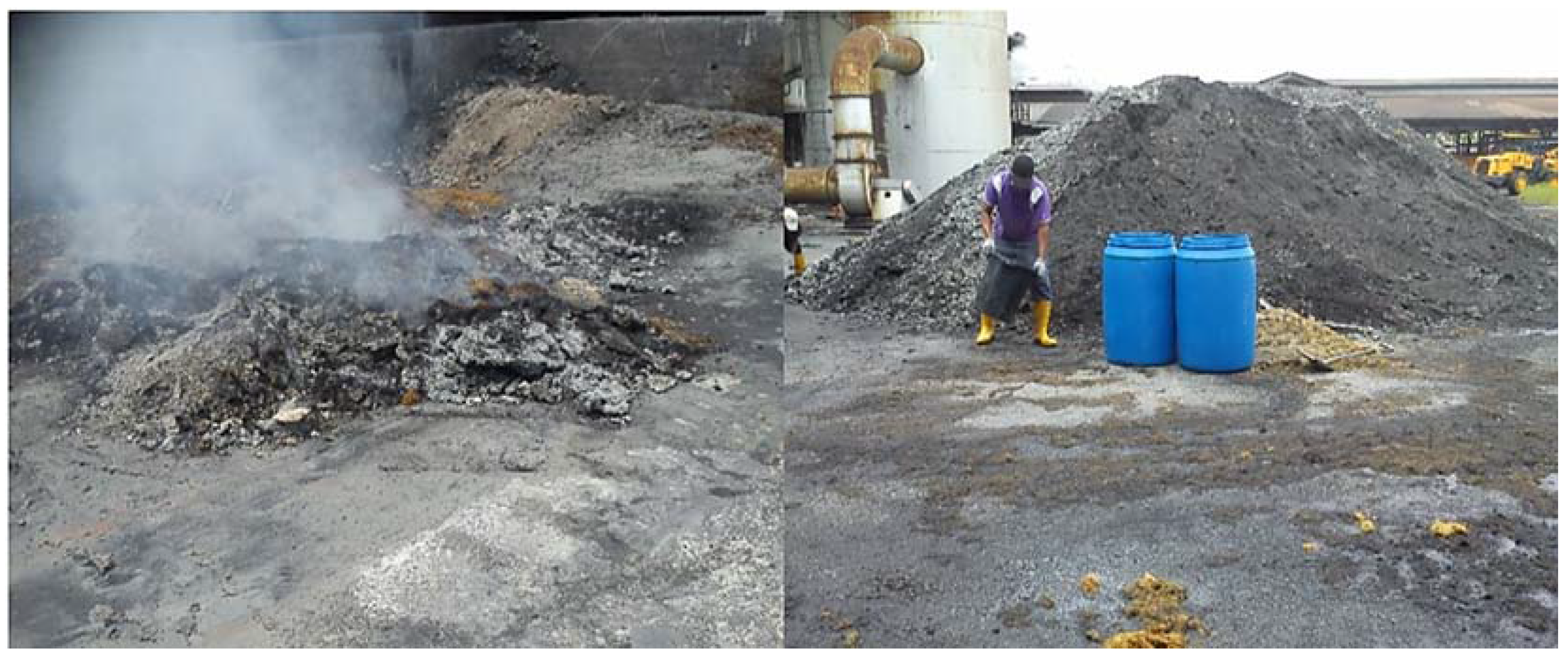 Coatings 07 00175 g001