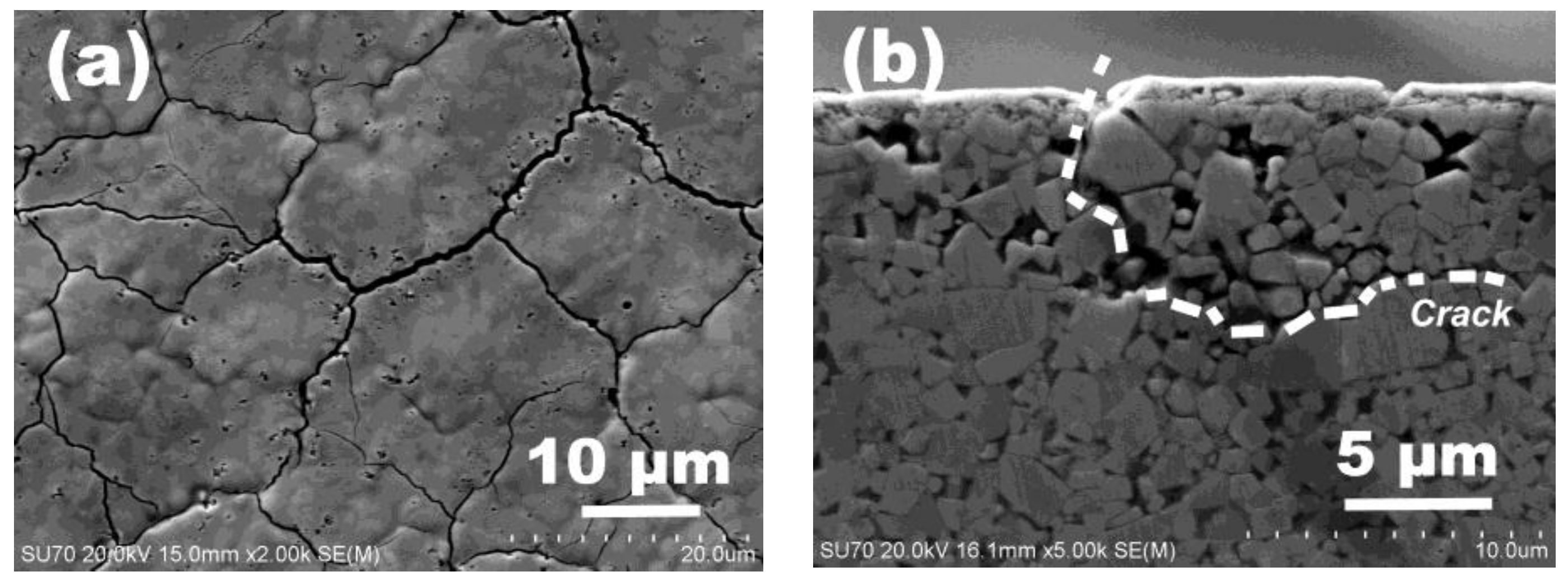 Coatings 07 00178 g007