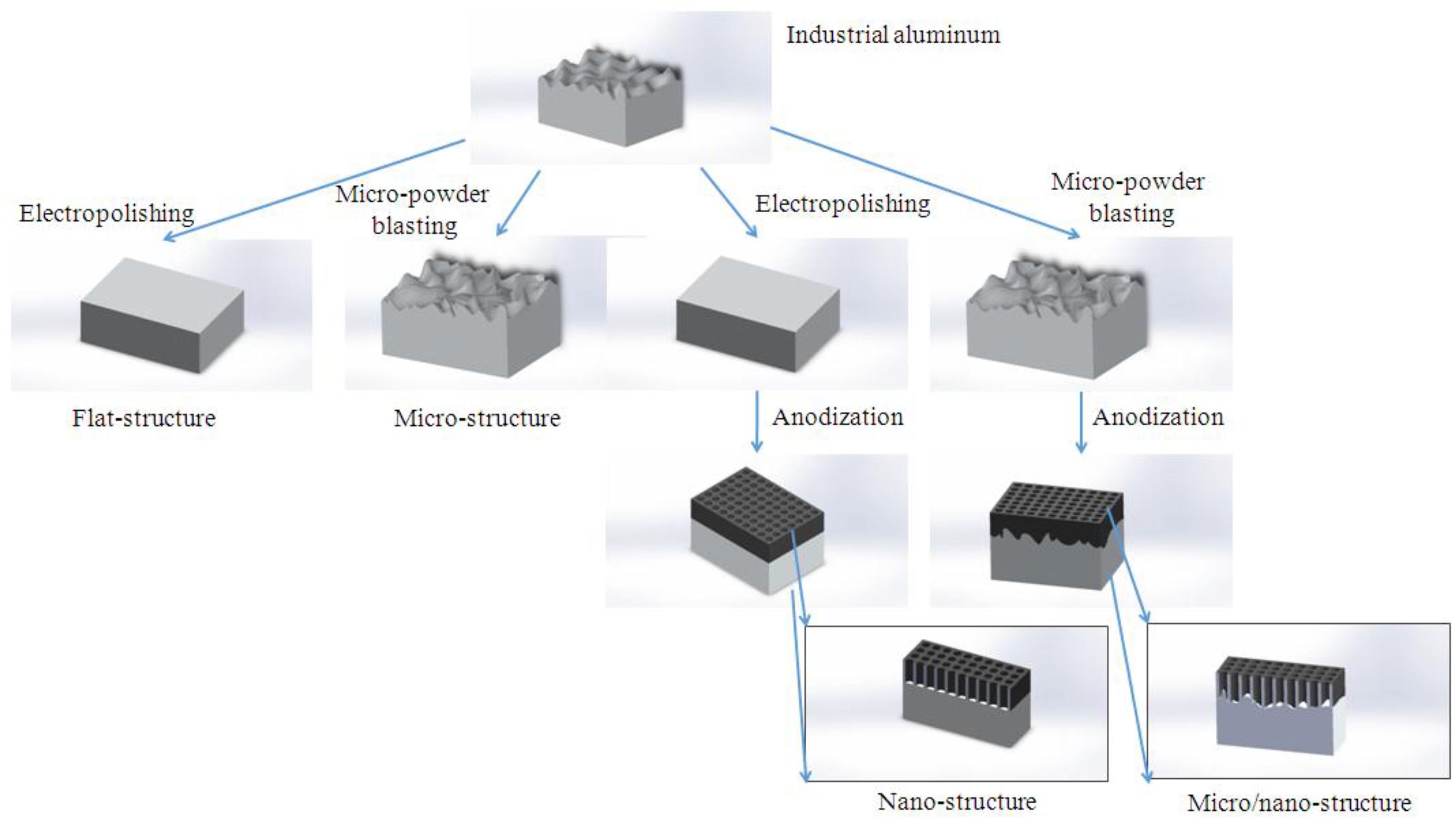 Coatings 07 00179 g001