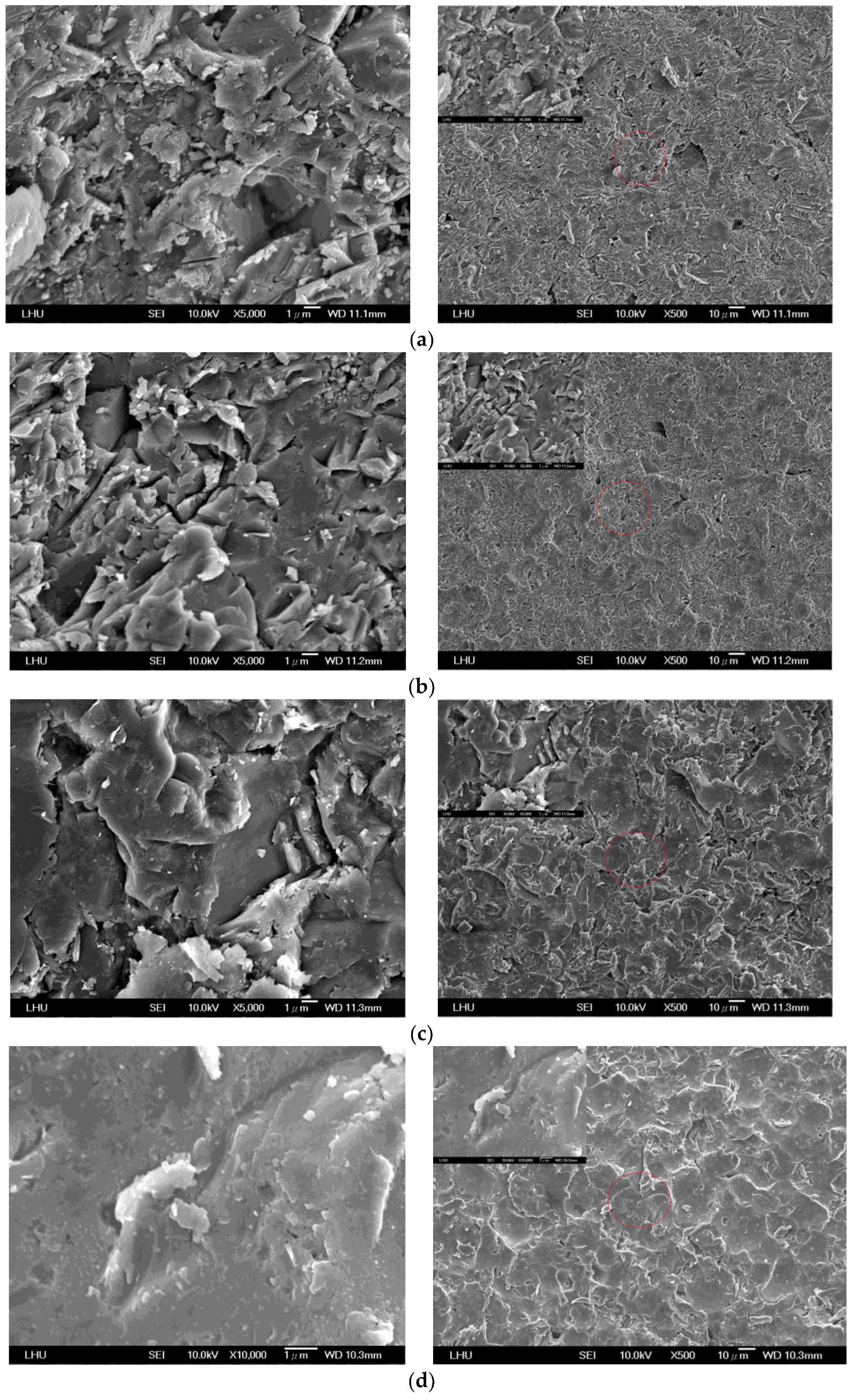Coatings 07 00179 g002