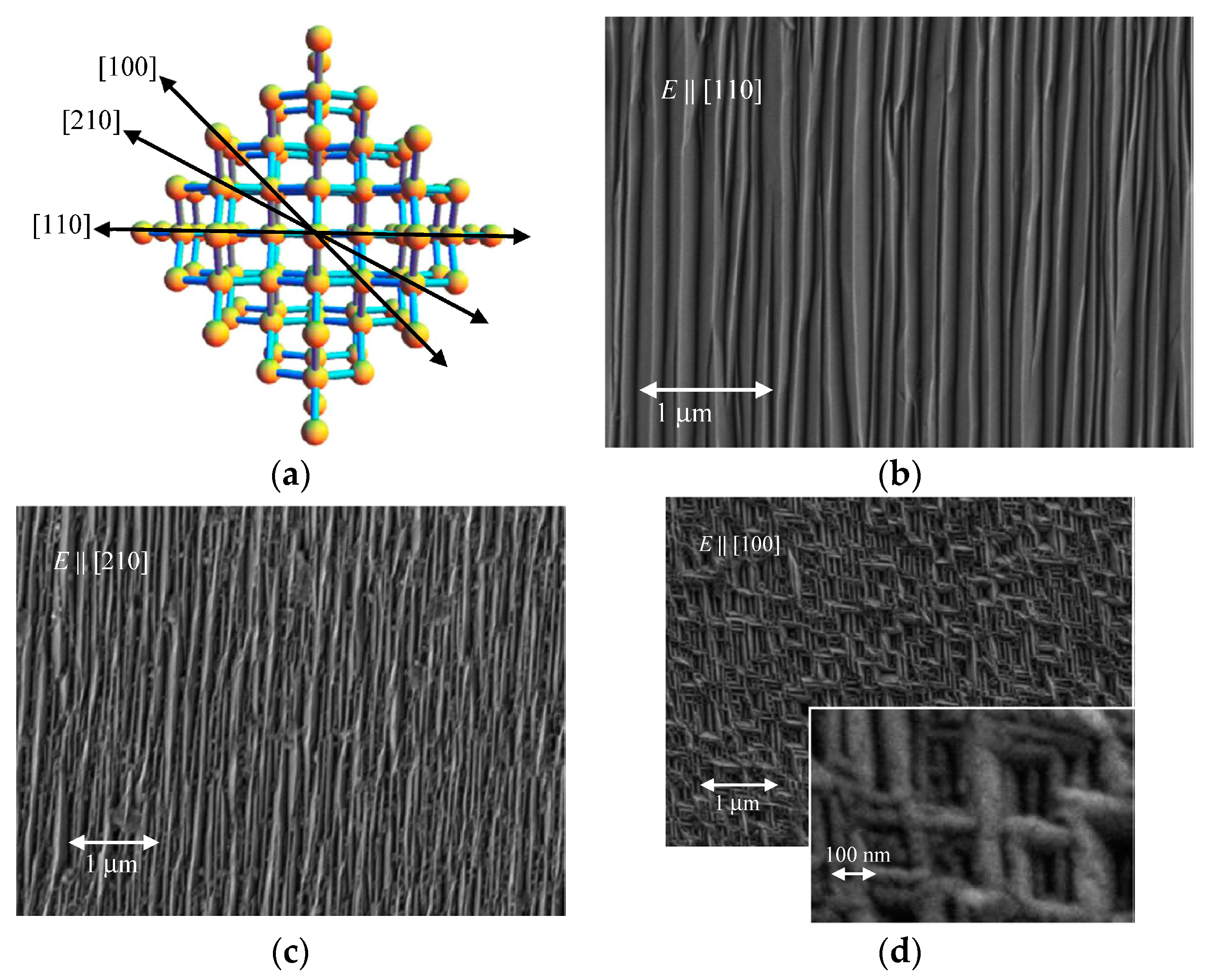 Coatings 07 00185 g004