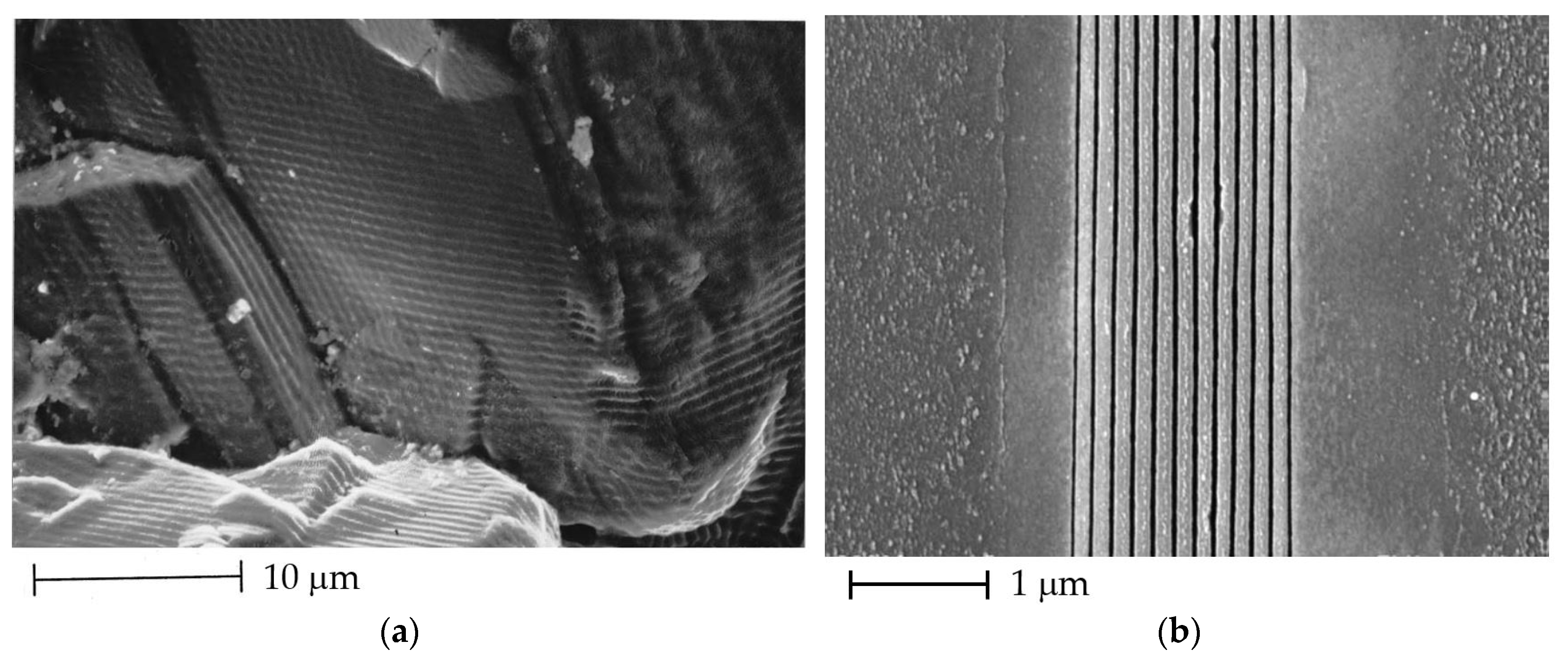 Coatings 07 00185 g005