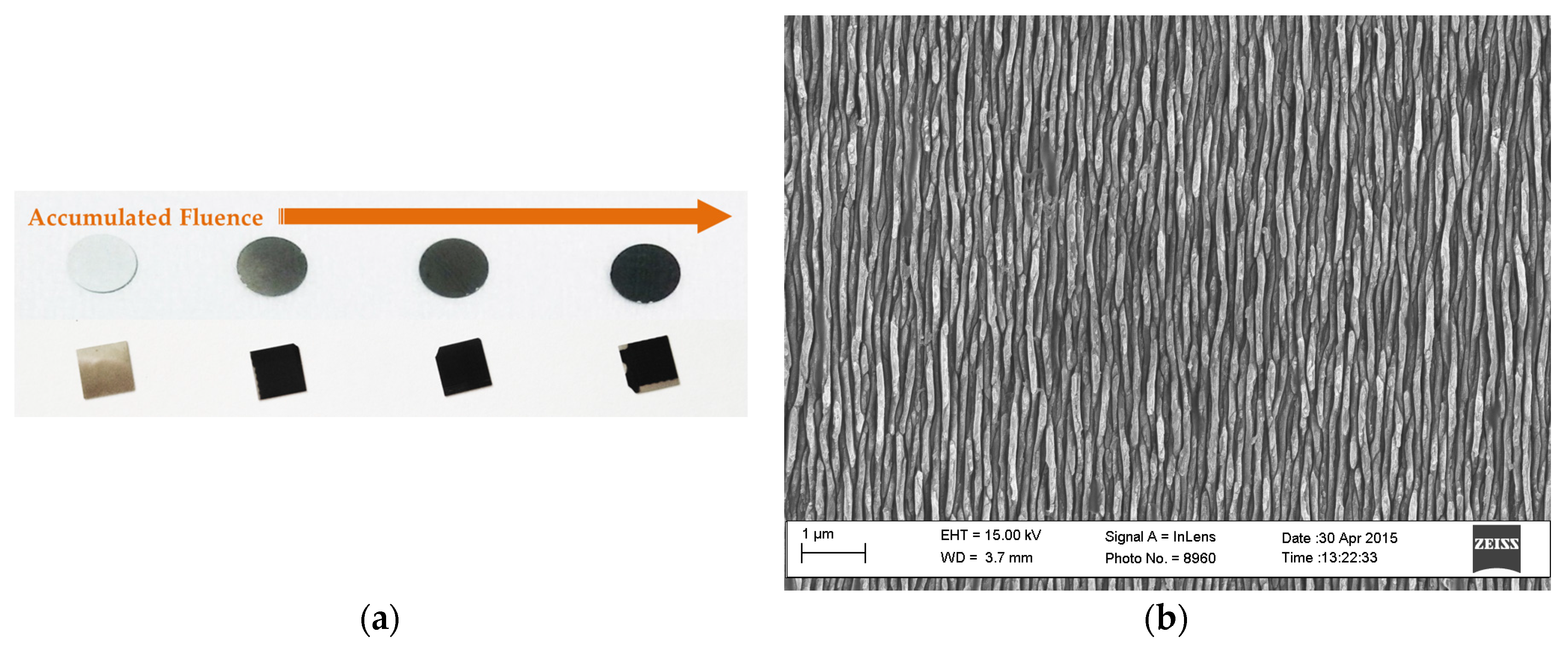 Coatings 07 00185 g007
