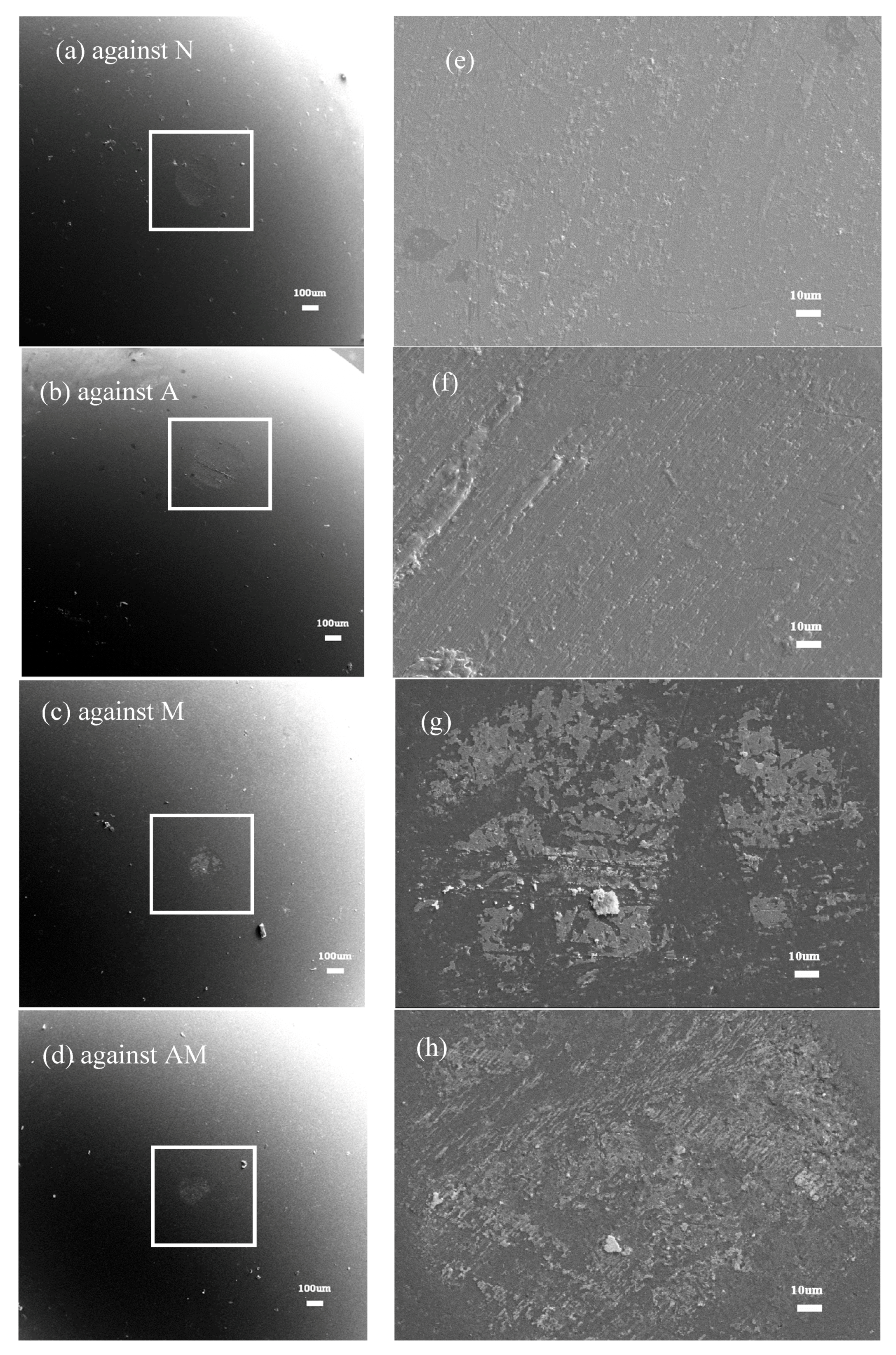 Coatings 07 00191 g008