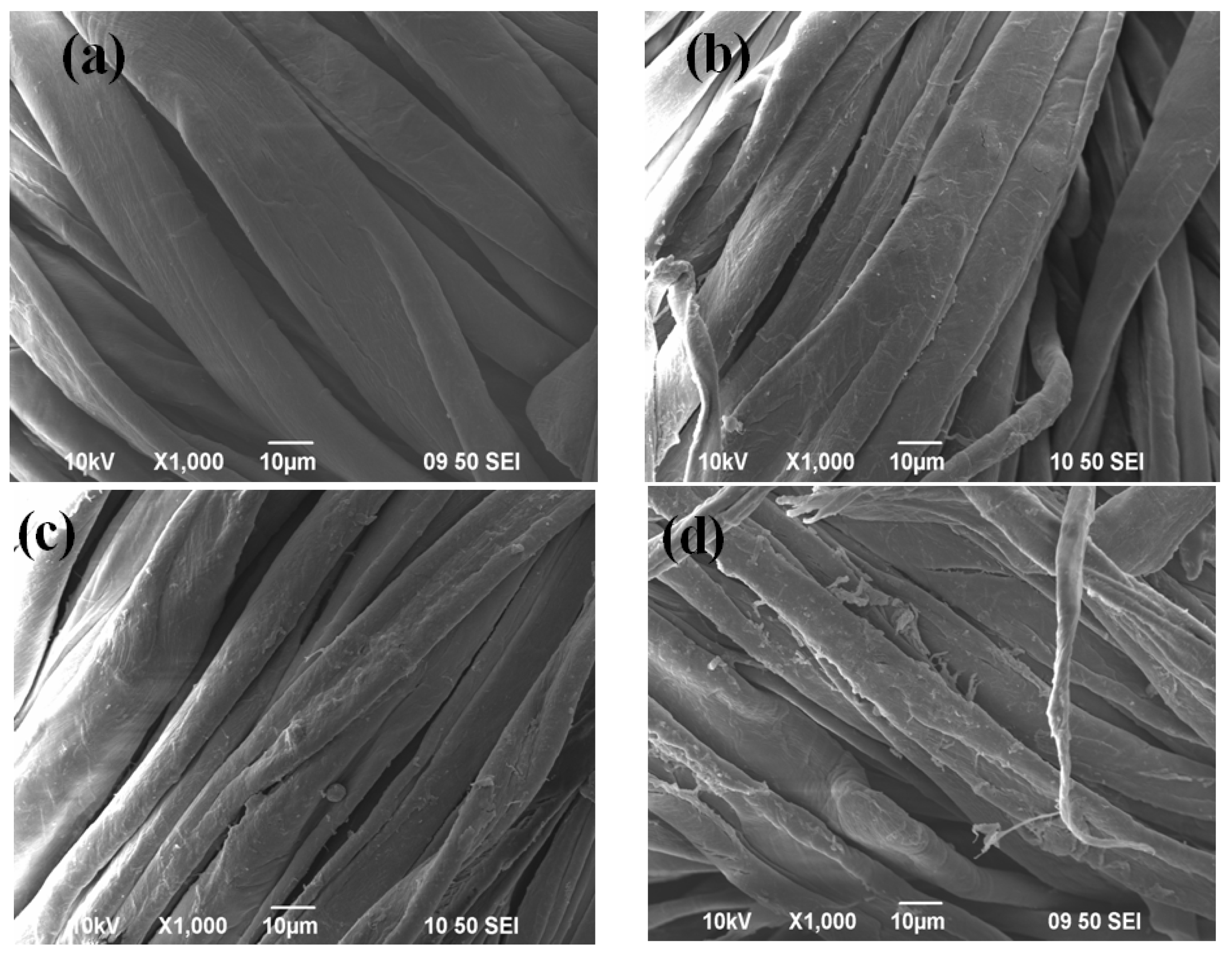 Coatings 07 00192 g012