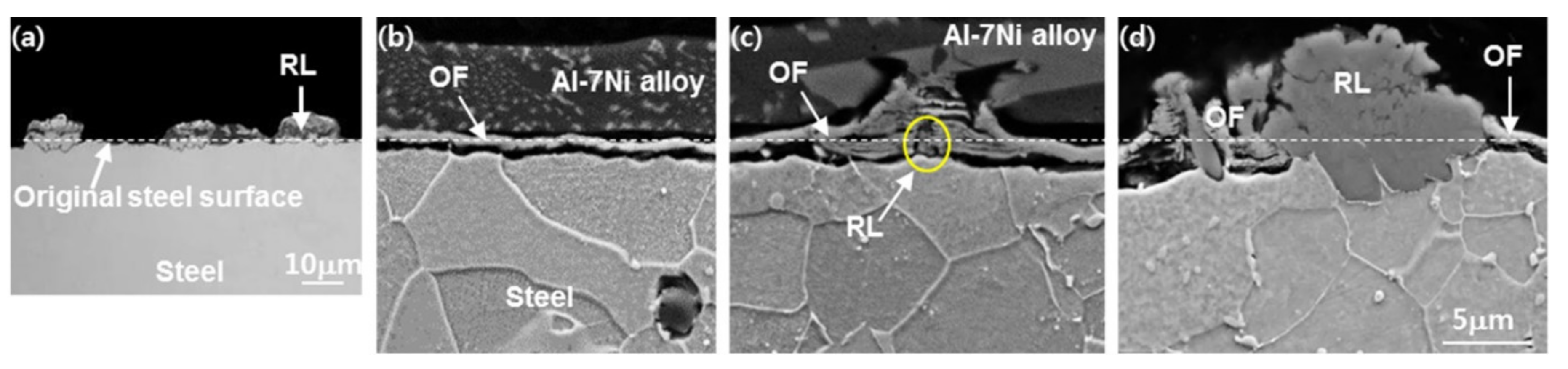 Coatings 07 00195 g001