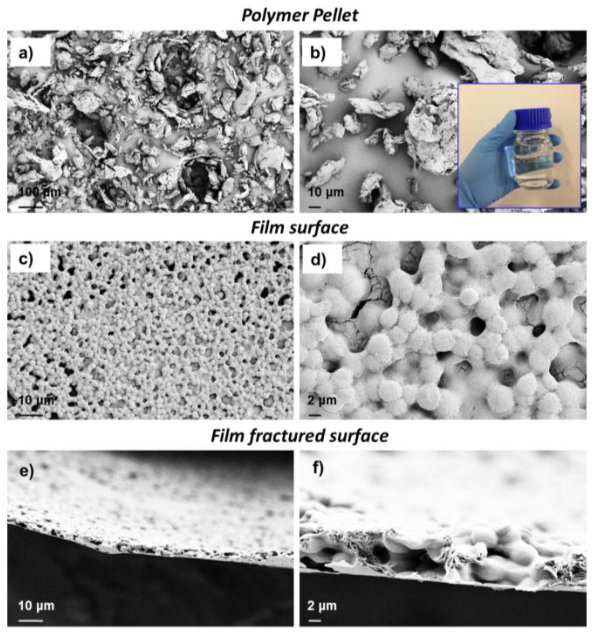 Coatings 07 00196 g001