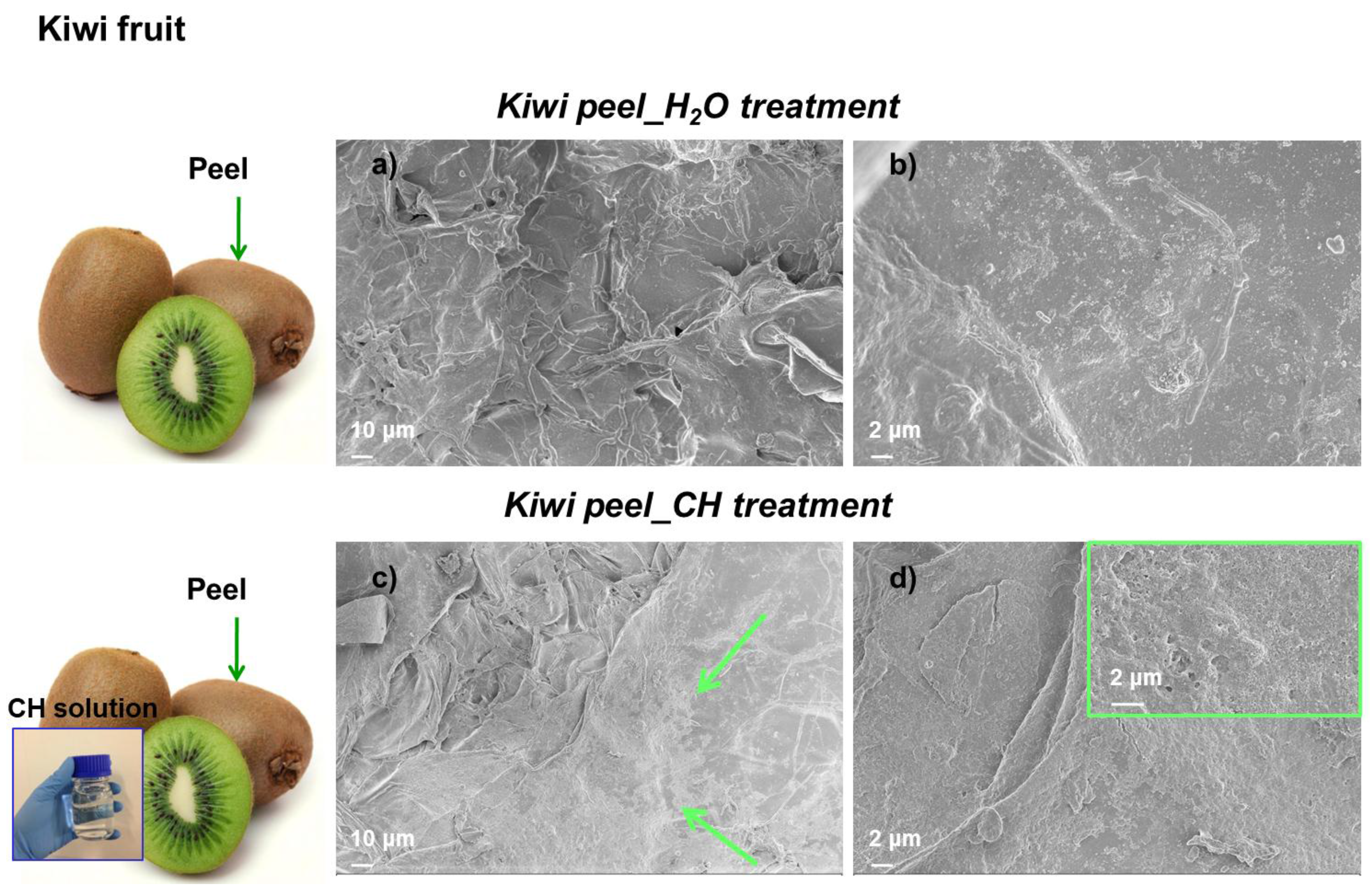 Coatings 07 00196 g004