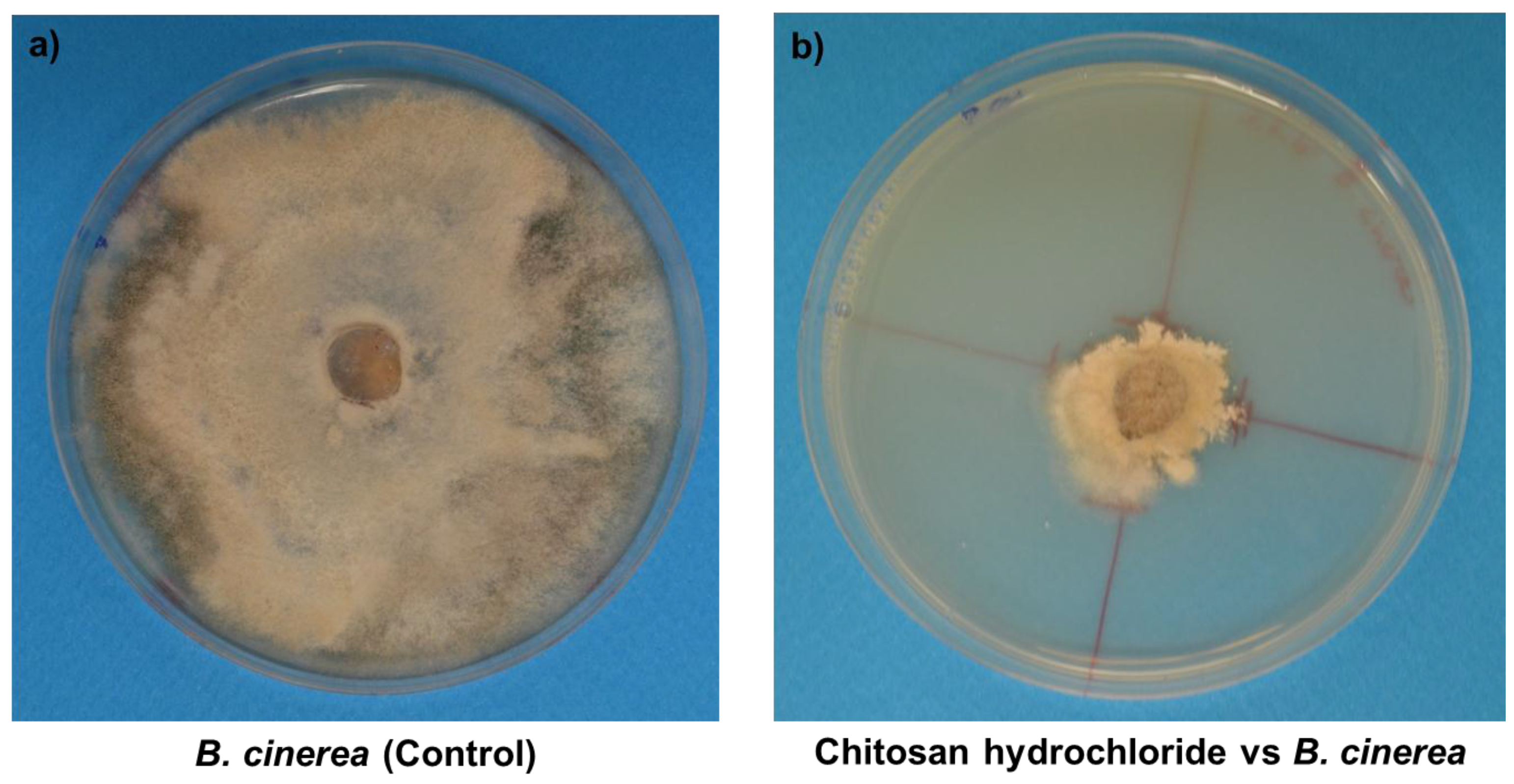 Coatings 07 00196 g006