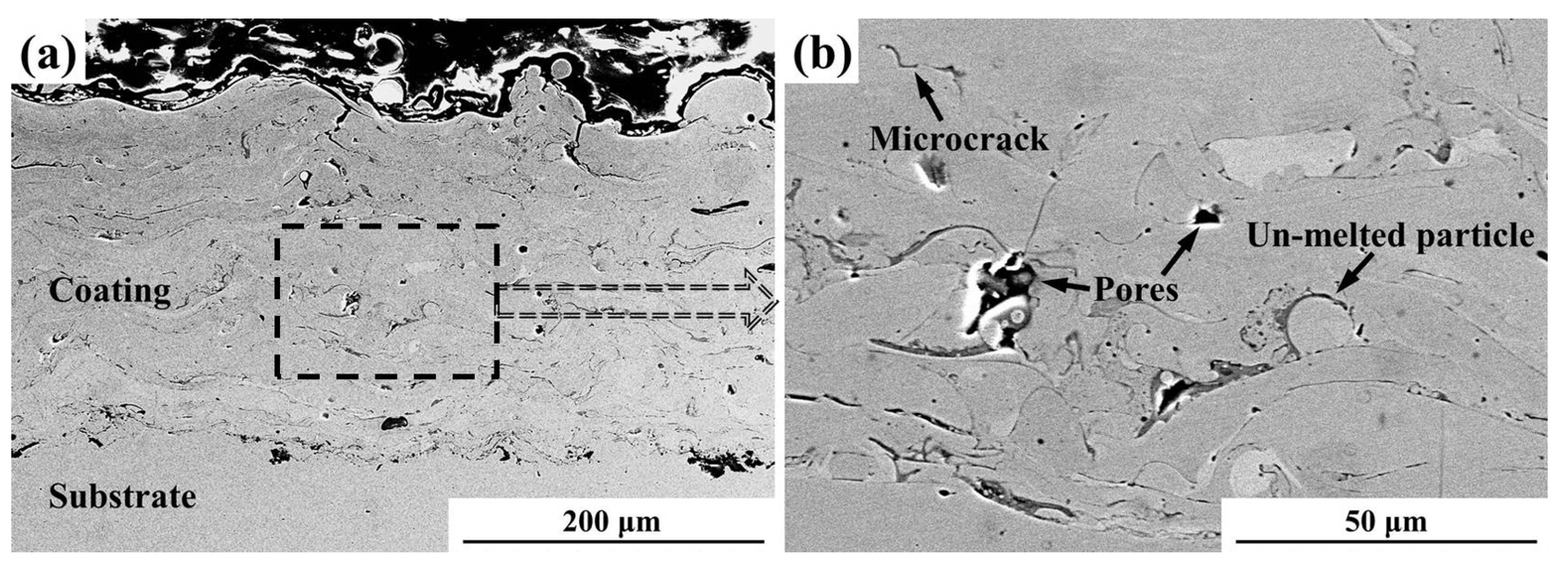 Coatings 07 00200 g001