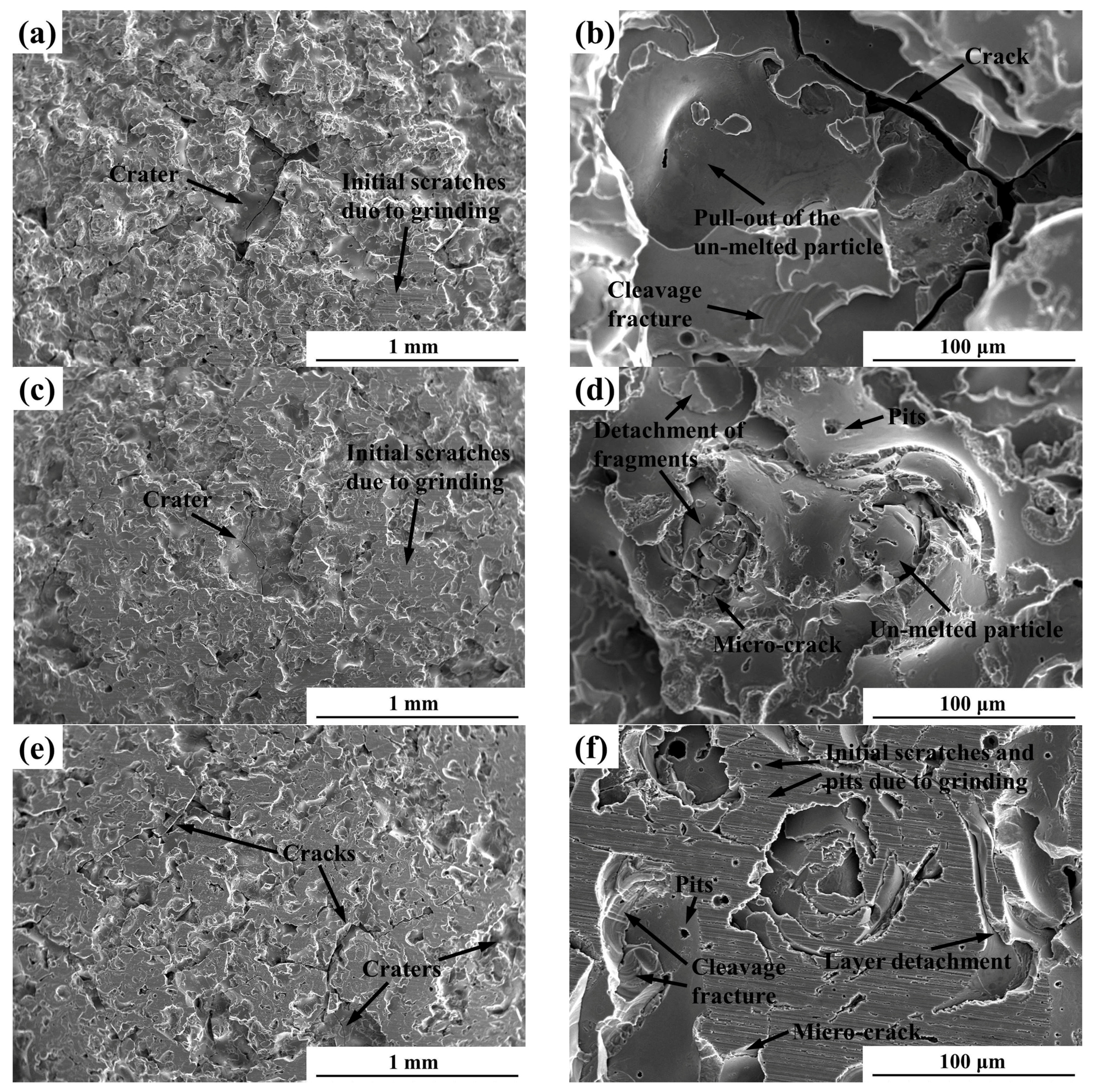 Coatings 07 00200 g005