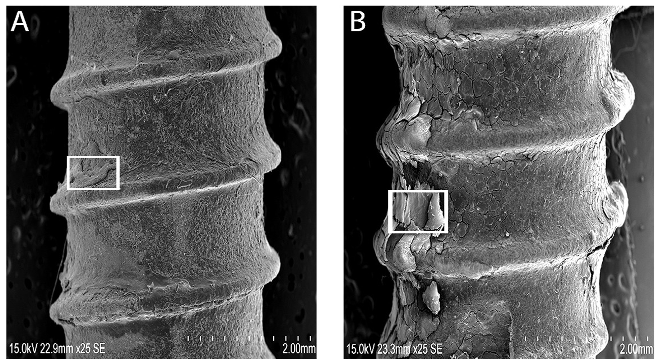 Coatings 07 00201 g002