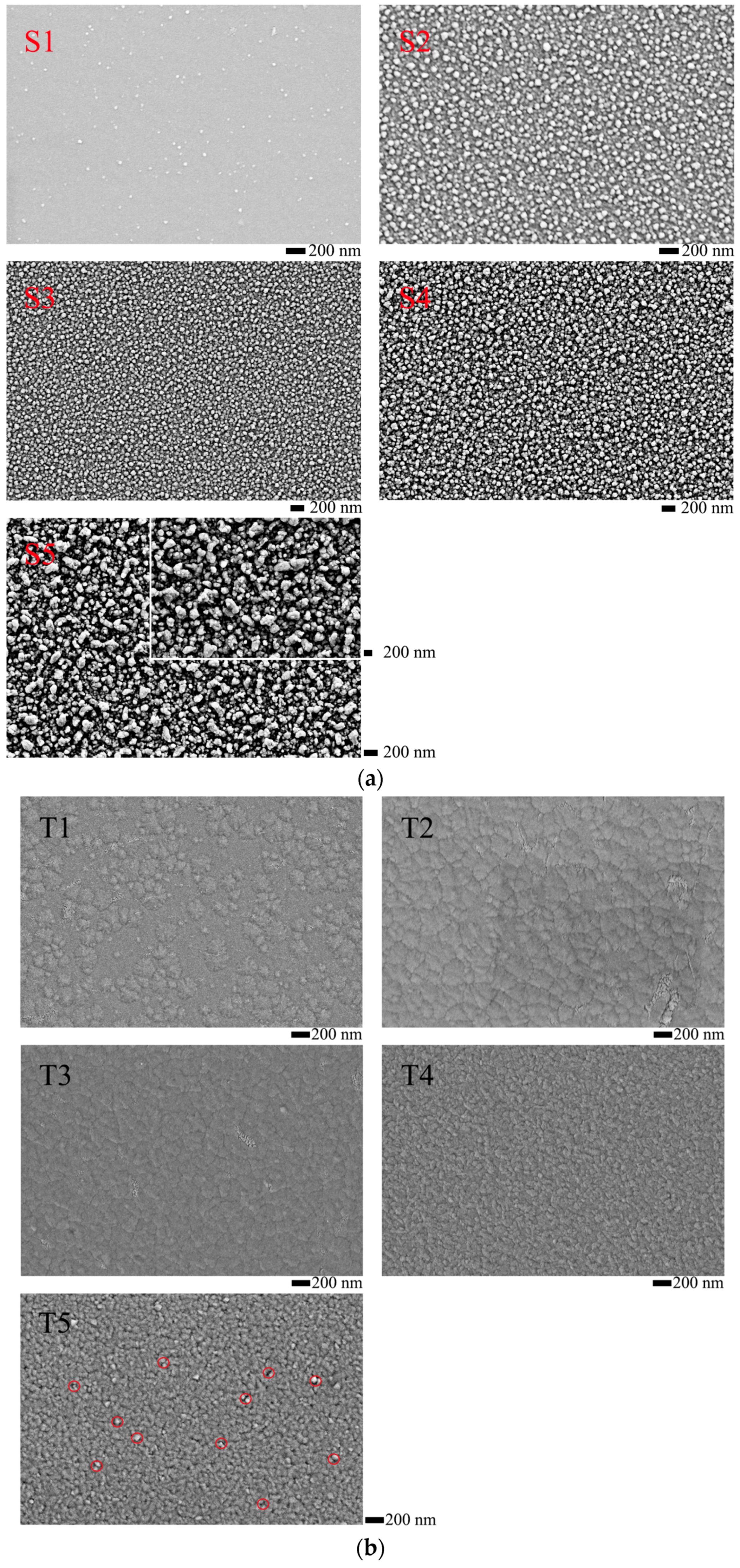 Coatings 07 00205 g003 Coatings 07 00205 g003