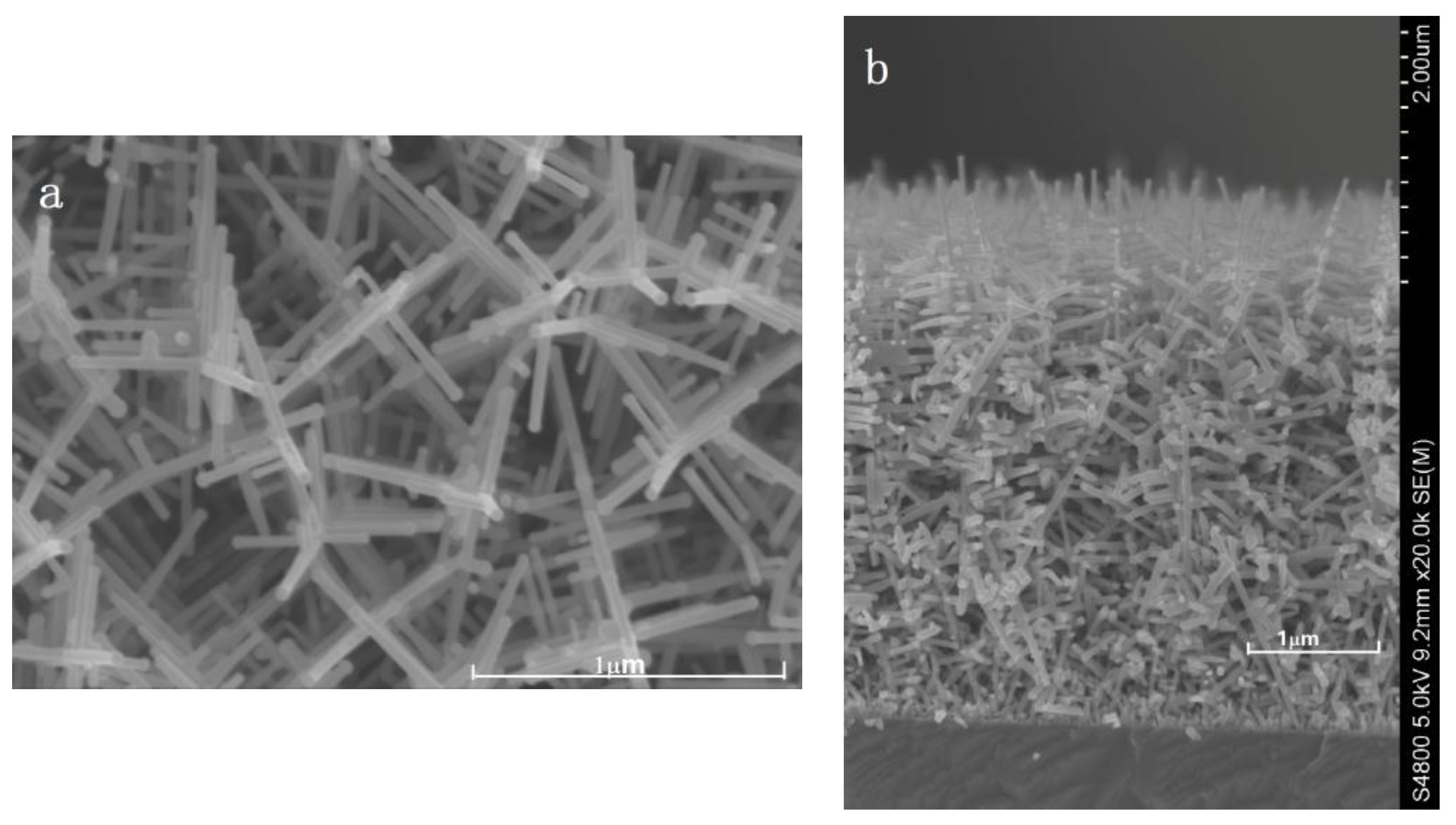 Coatings 07 00212 g001