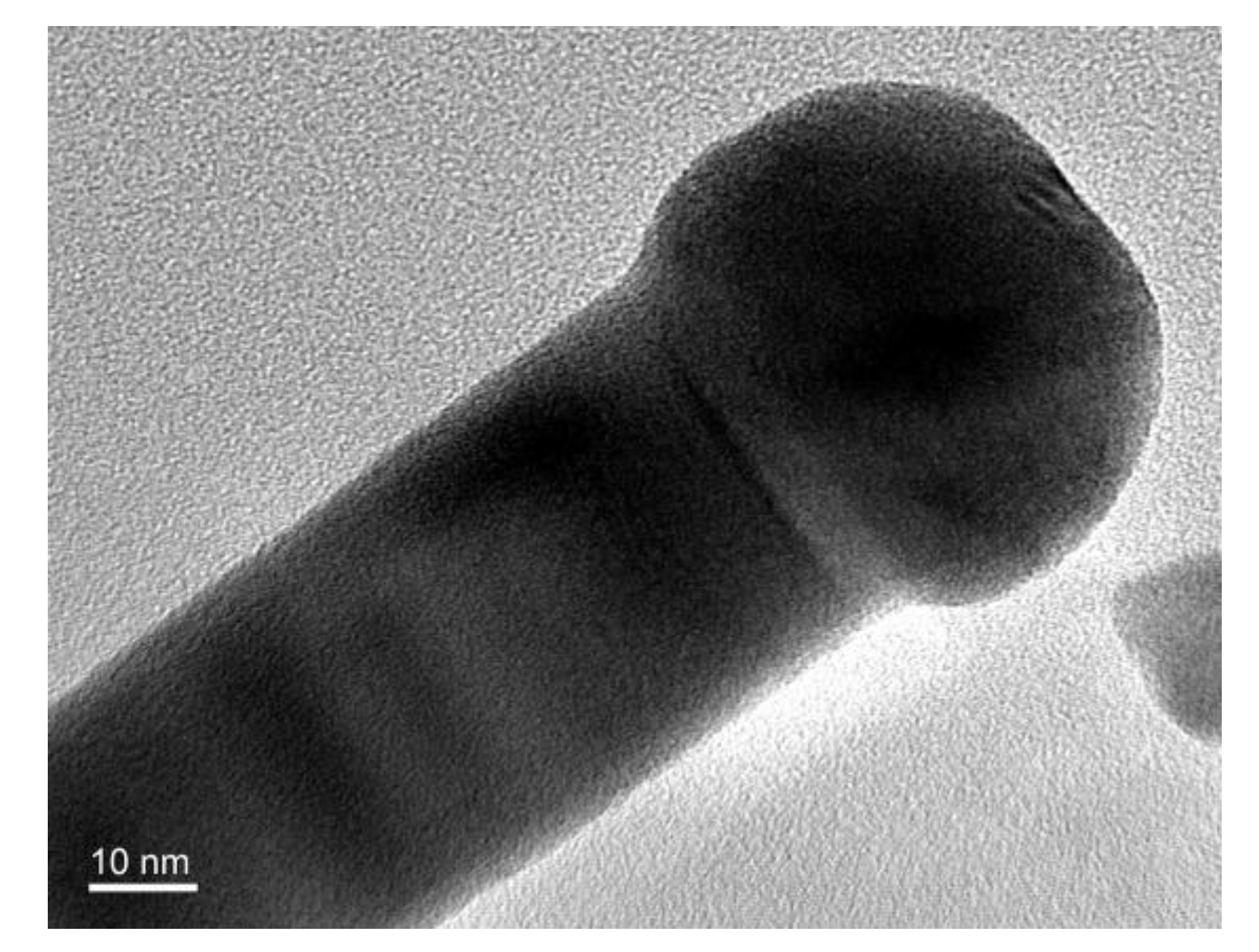 Coatings 07 00212 g003