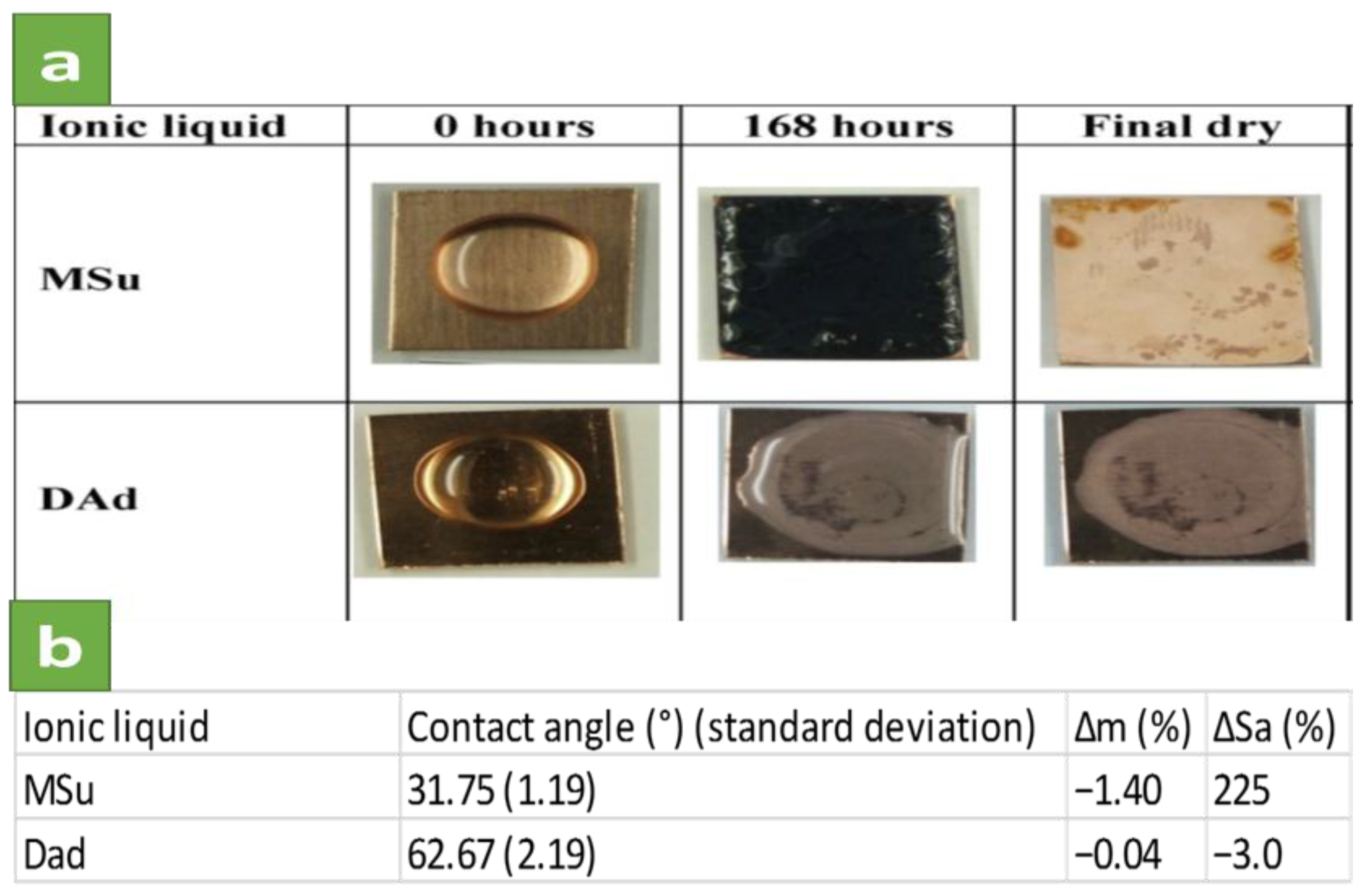 Coatings 07 00217 g002