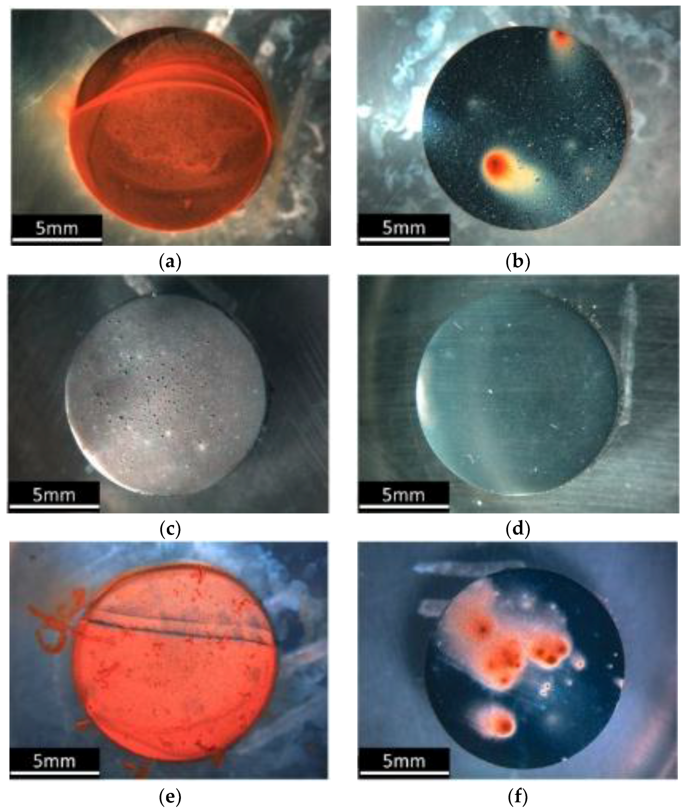 Coatings 07 00217 g003
