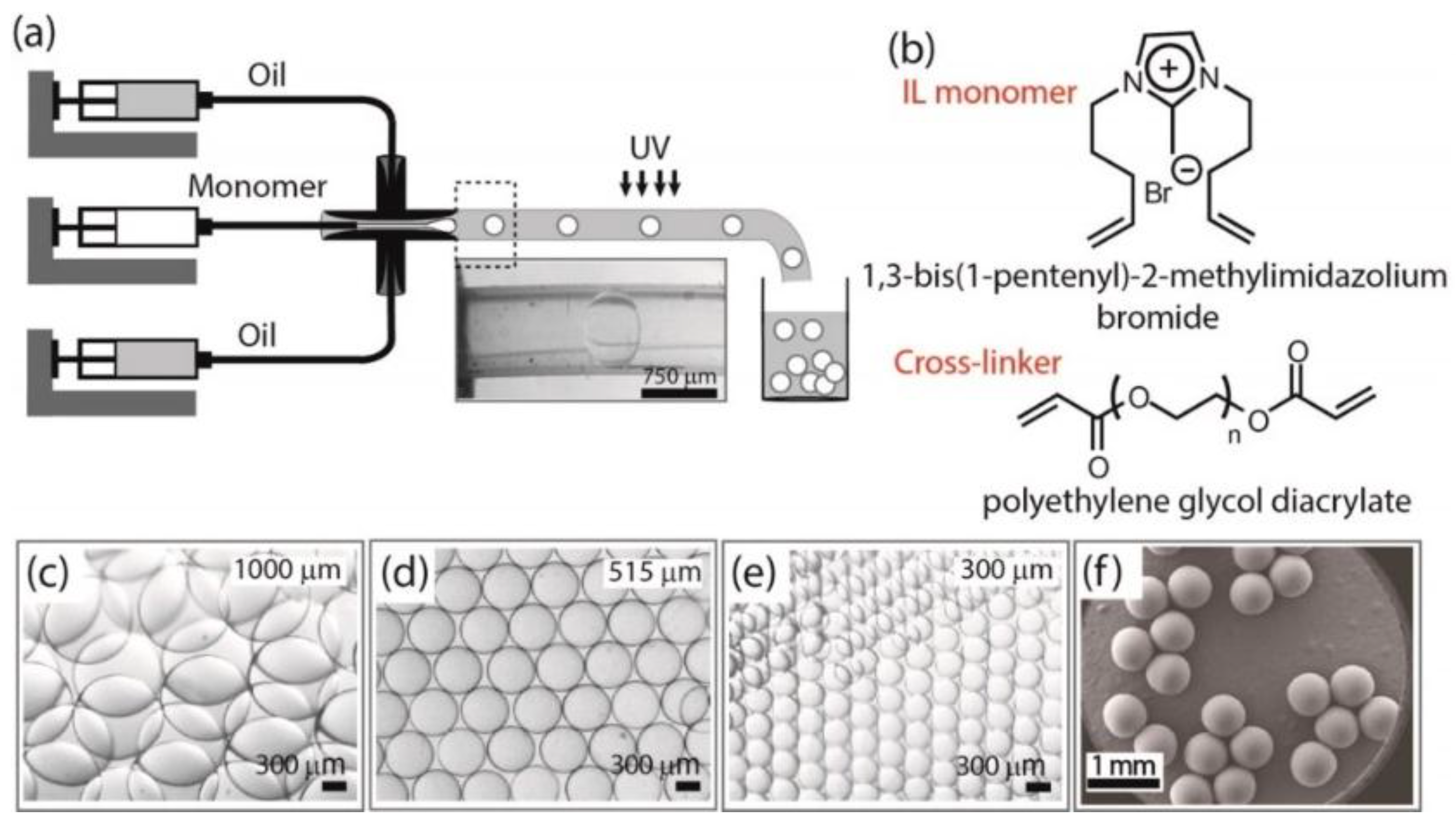 Coatings 07 00217 g007