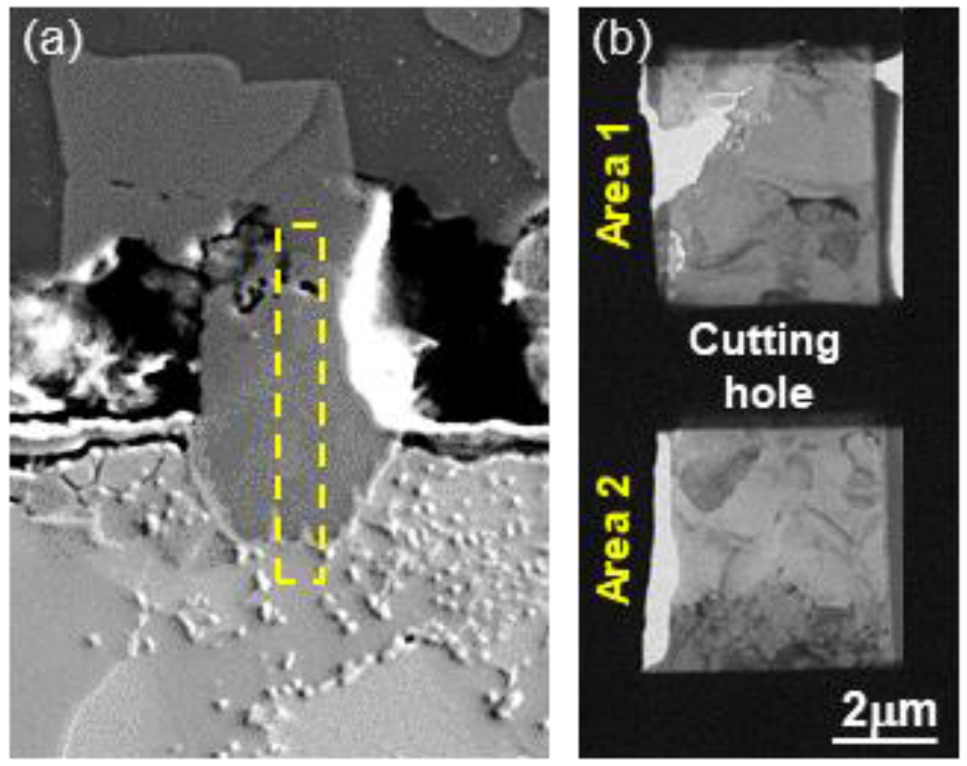 Coatings 07 00222 g006a