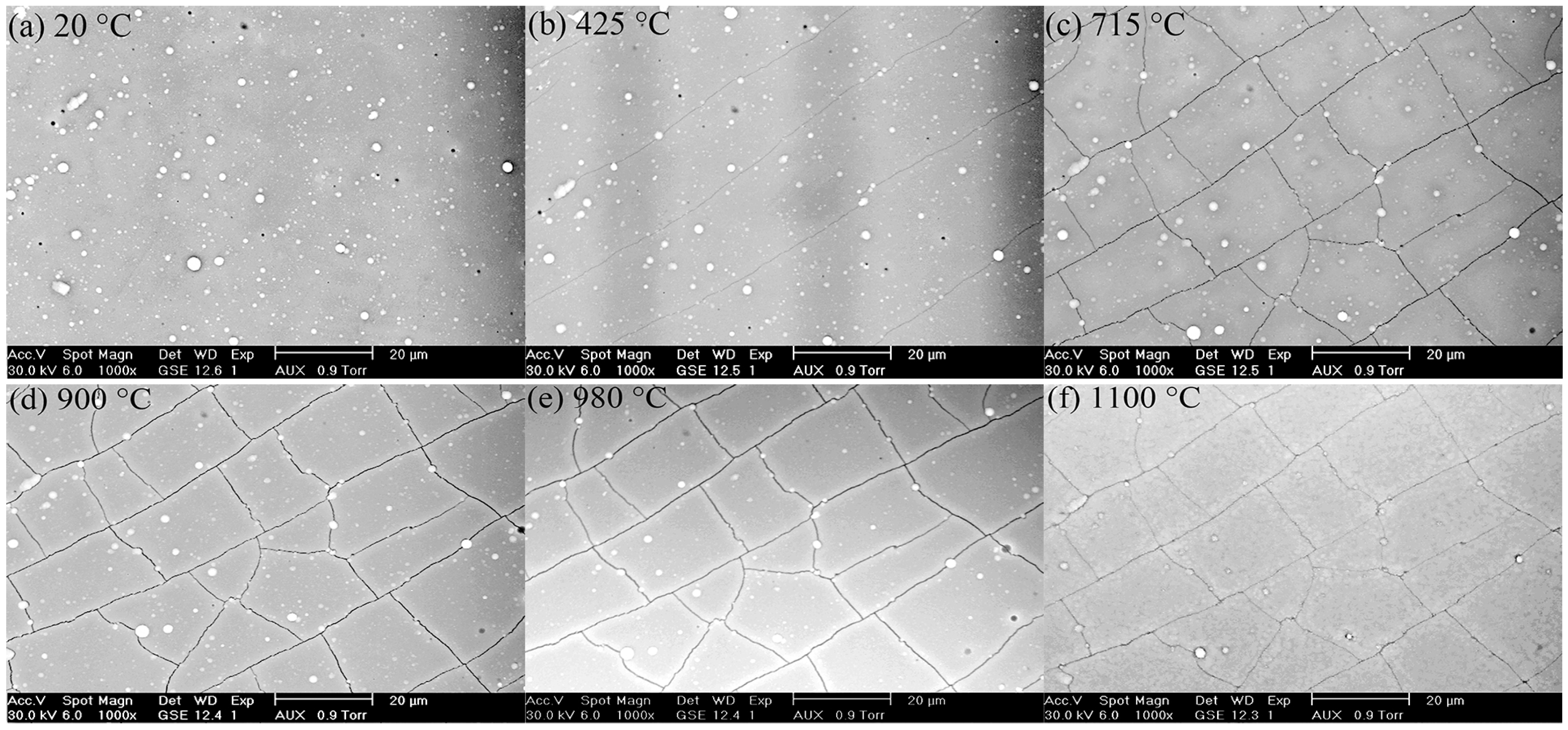 Coatings 07 00225 g004
