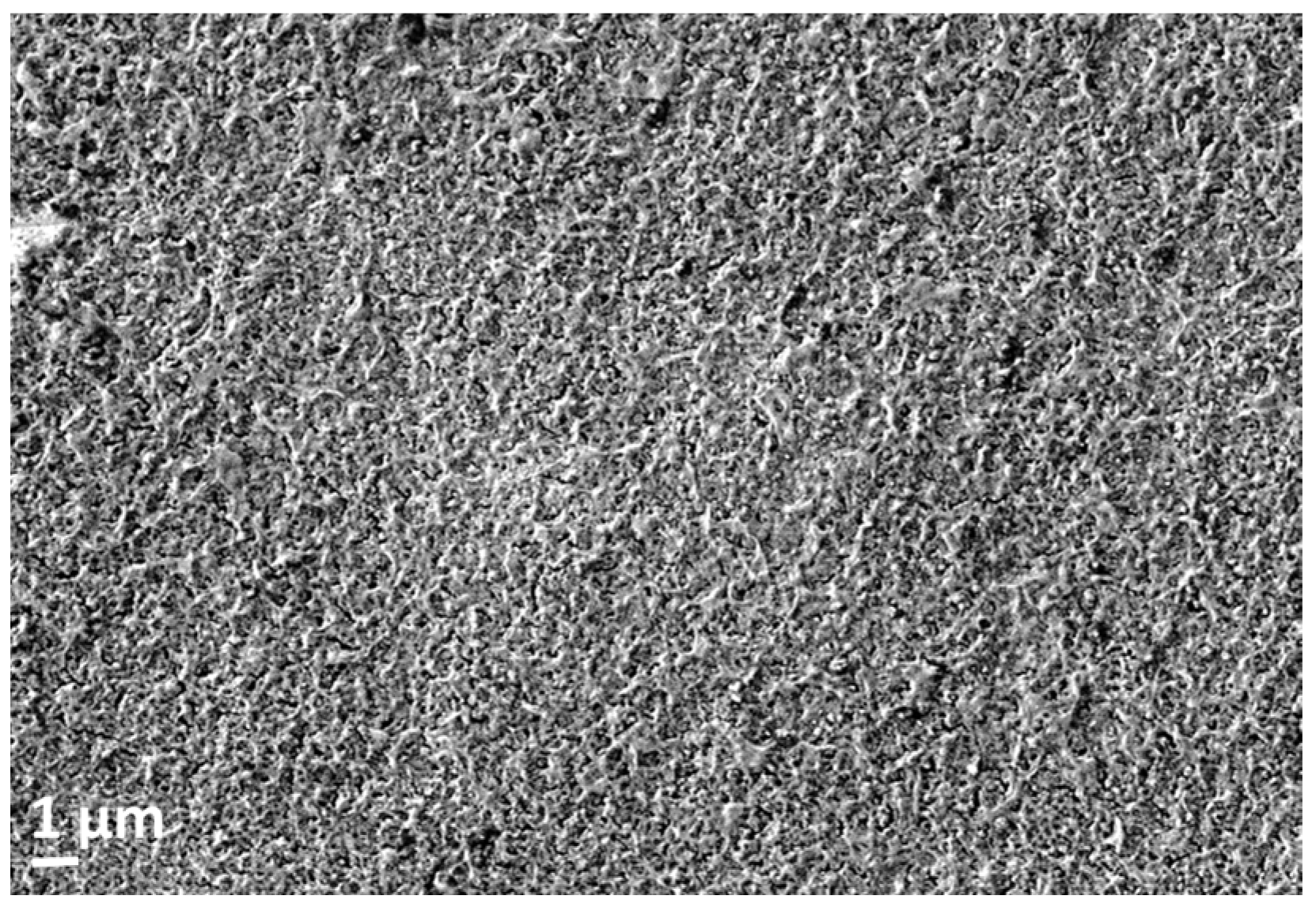 Coatings 07 00227 g010 Coatings 07 00227 g010