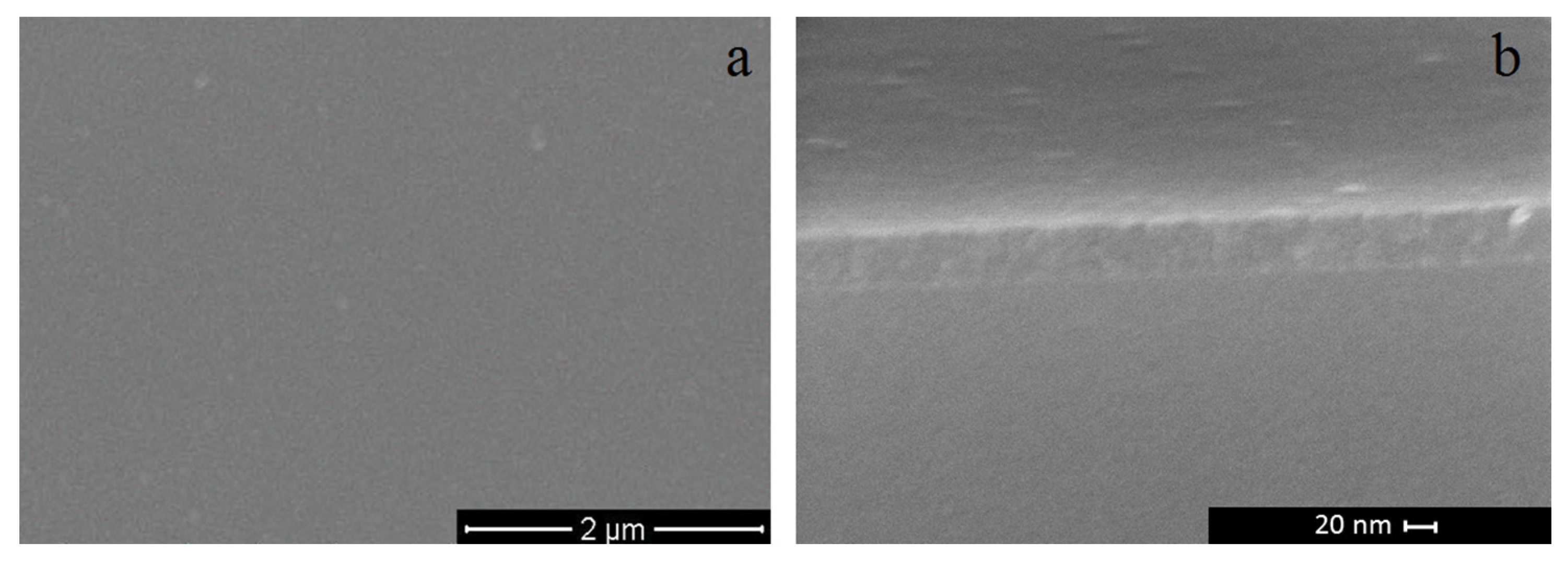 Coatings 07 00228 g001