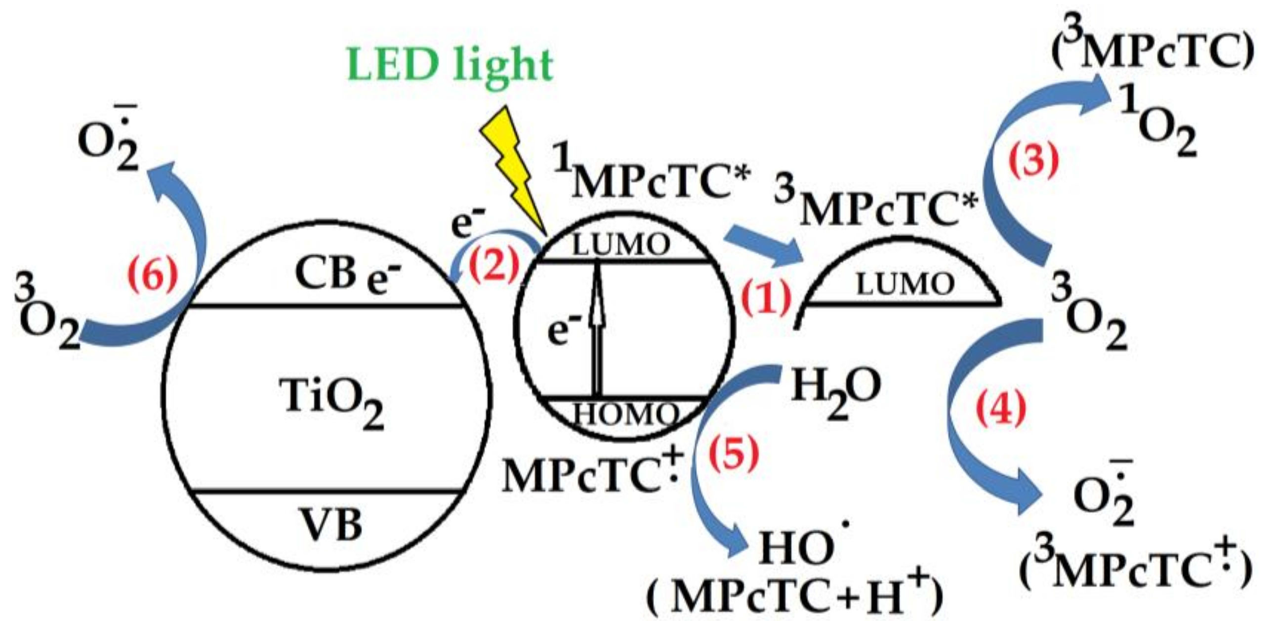 Coatings 07 00229 g007