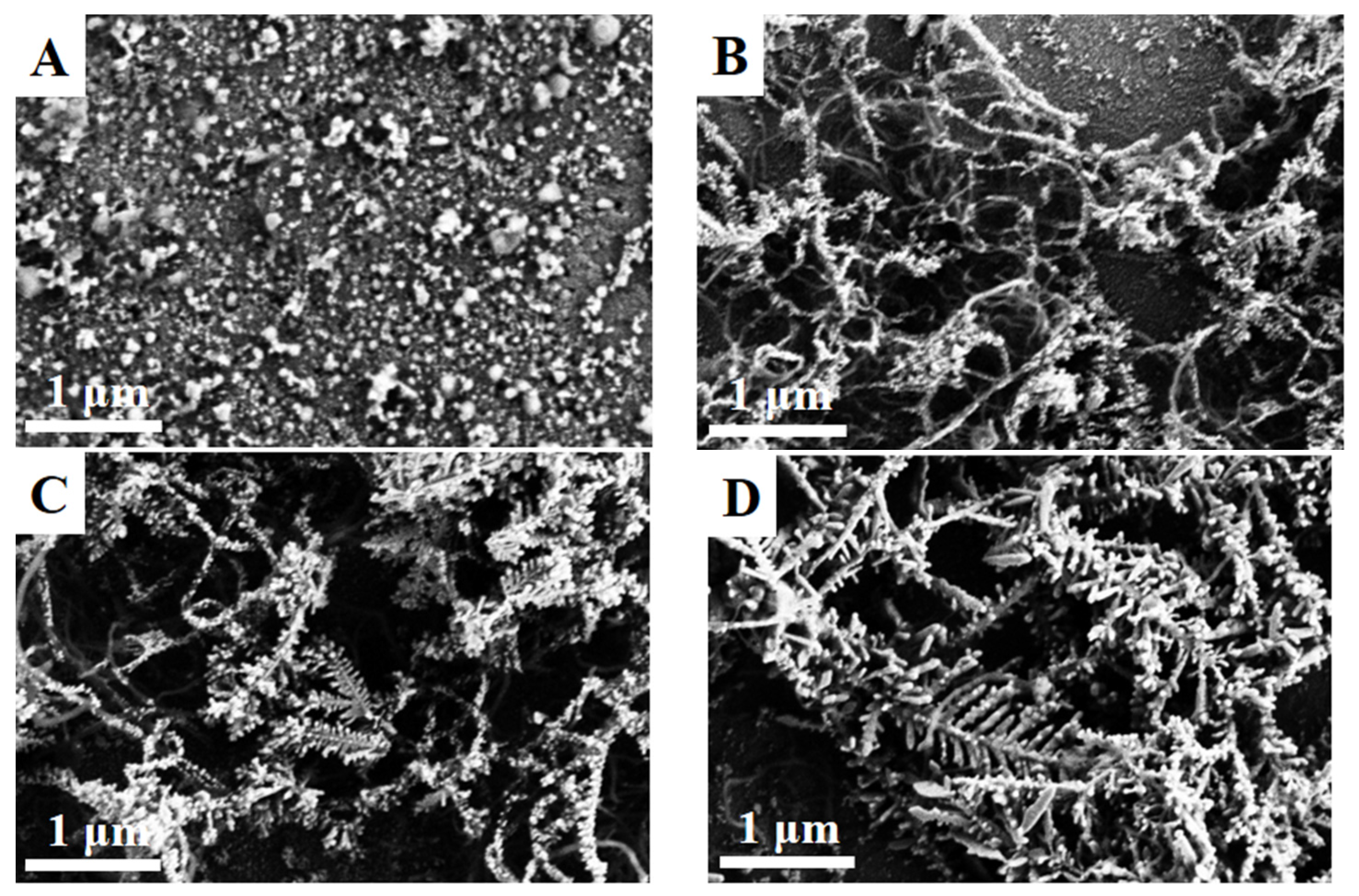 Coatings 07 00232 g001
