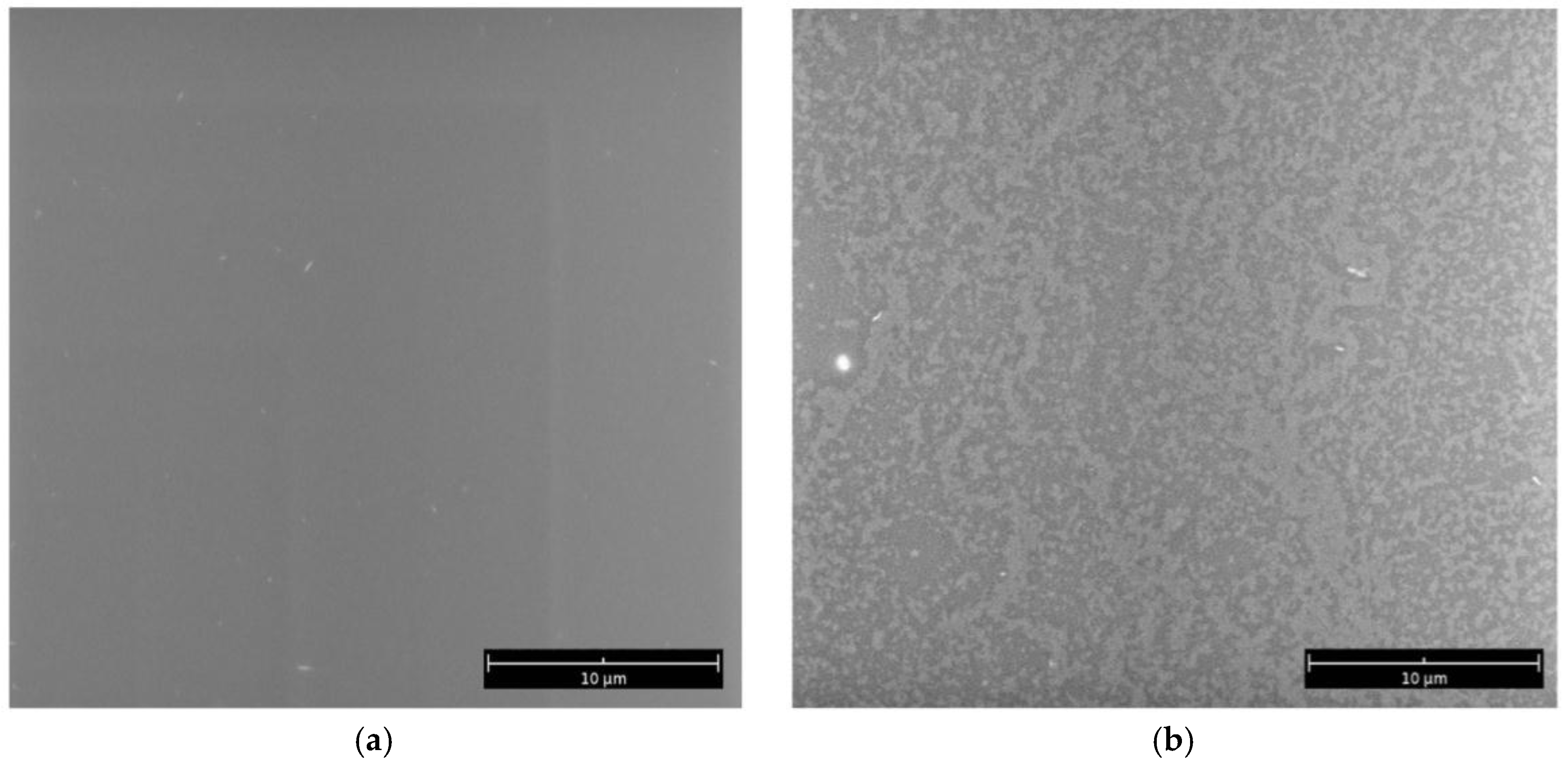 Coatings 07 00234 g011