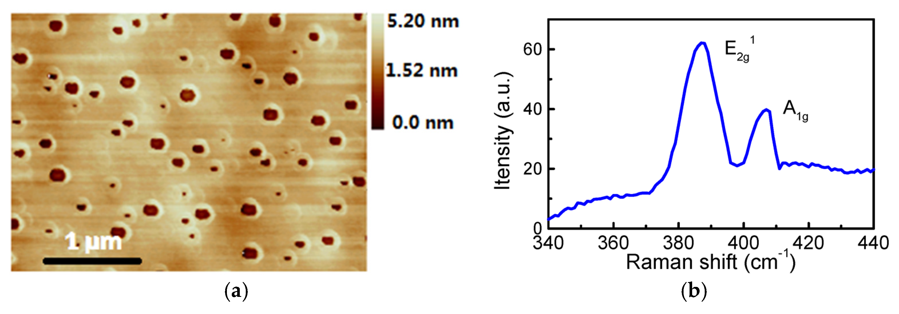 Coatings 08 00002 g003